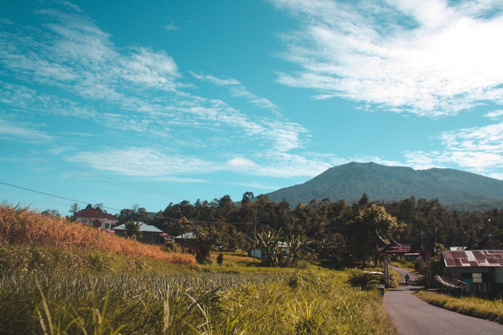 a rural road with a mountain in the background