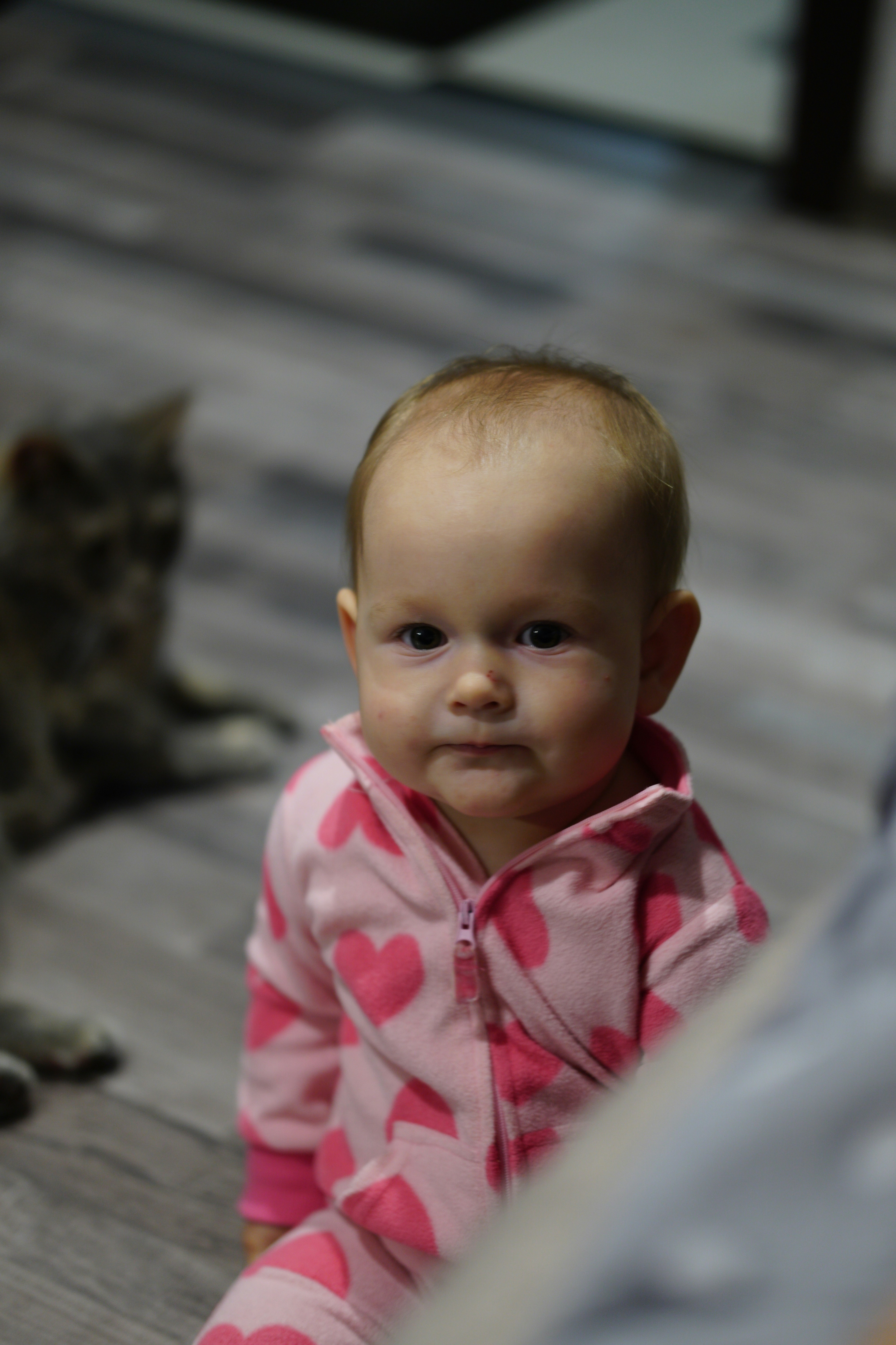 a baby sitting on the floor next to a cat