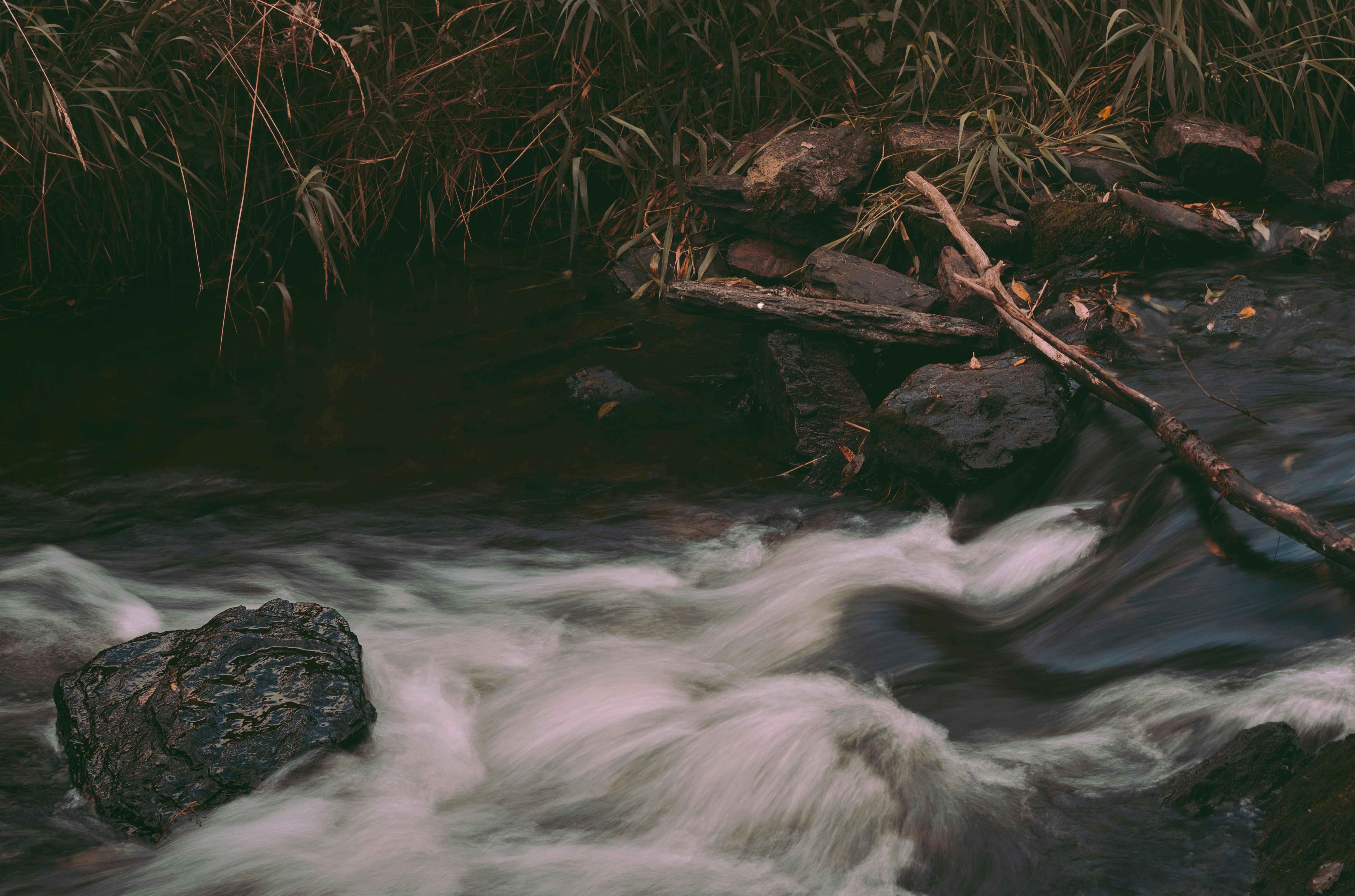 Photo by myriamzilles