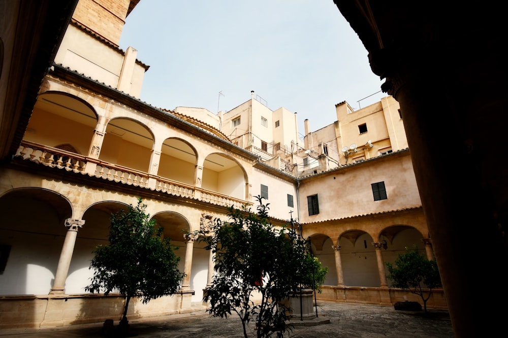 a courtyard with a tree in the middle of it