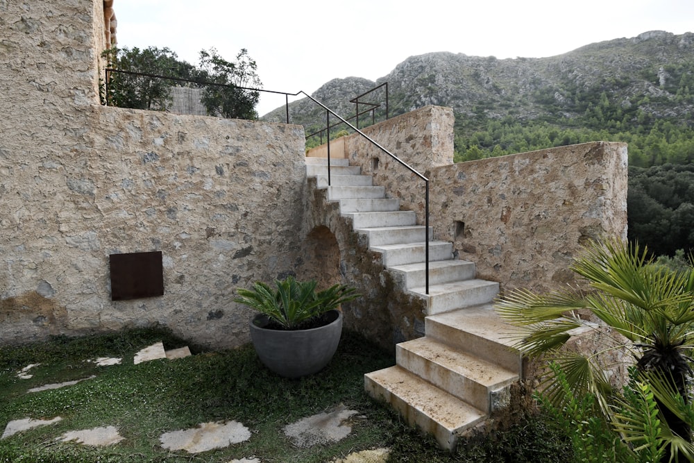 a stone building with a staircase and a potted plant