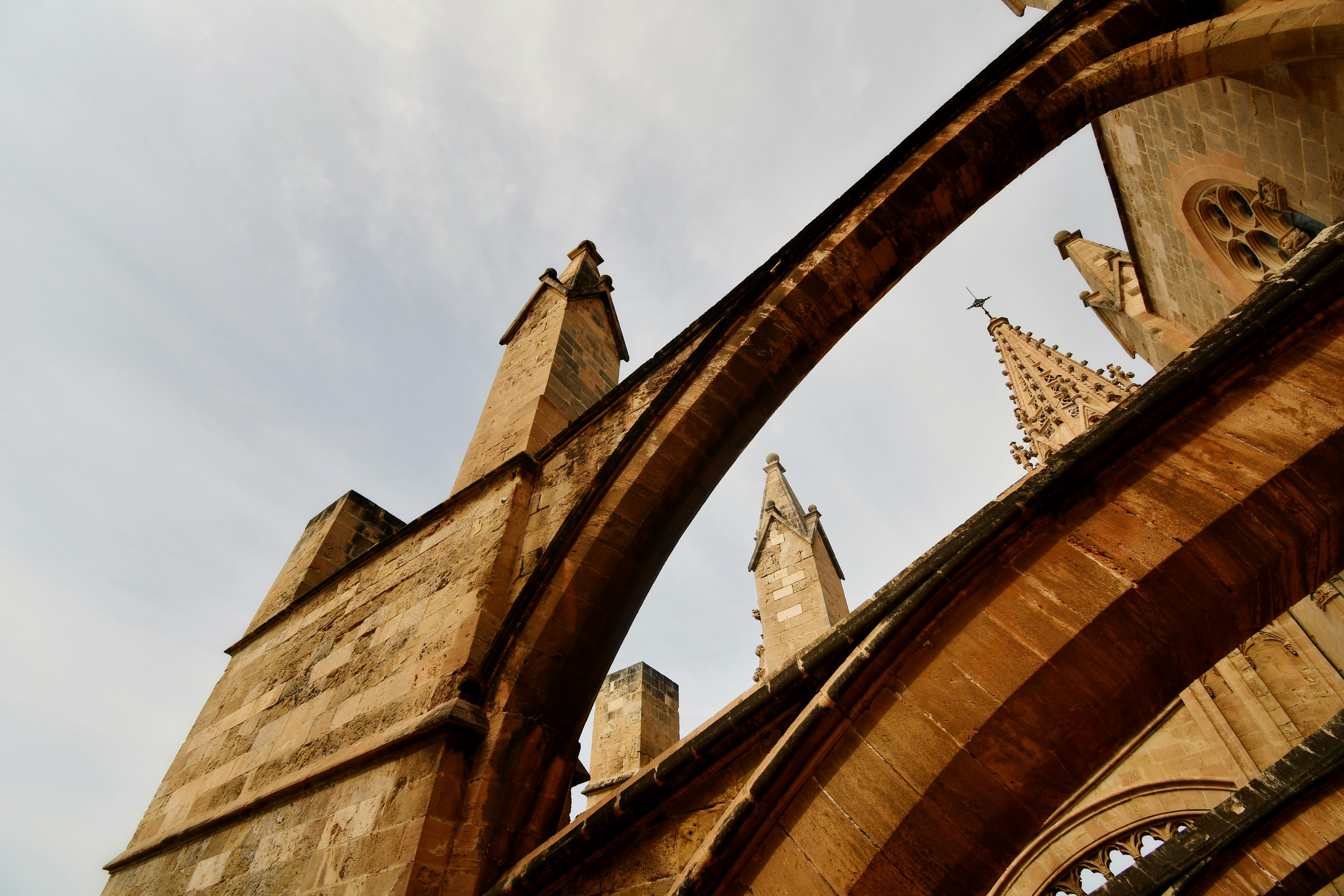 Photo by harlynkingm