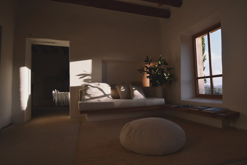 a living room with a couch and a potted plant