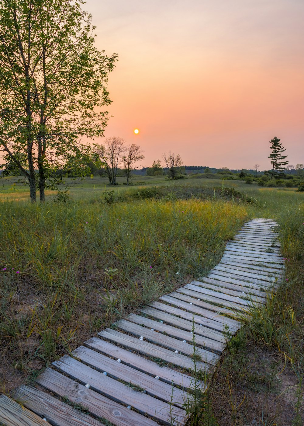 Un camino de madera en un campo con una puesta de sol al fondo