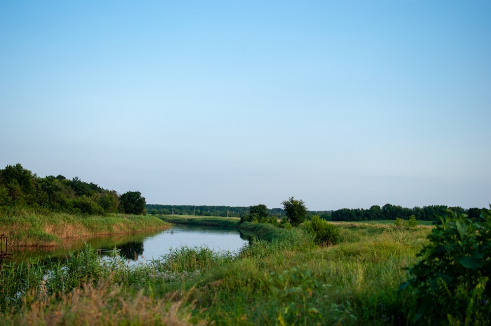 a body of water surrounded by lush green grass