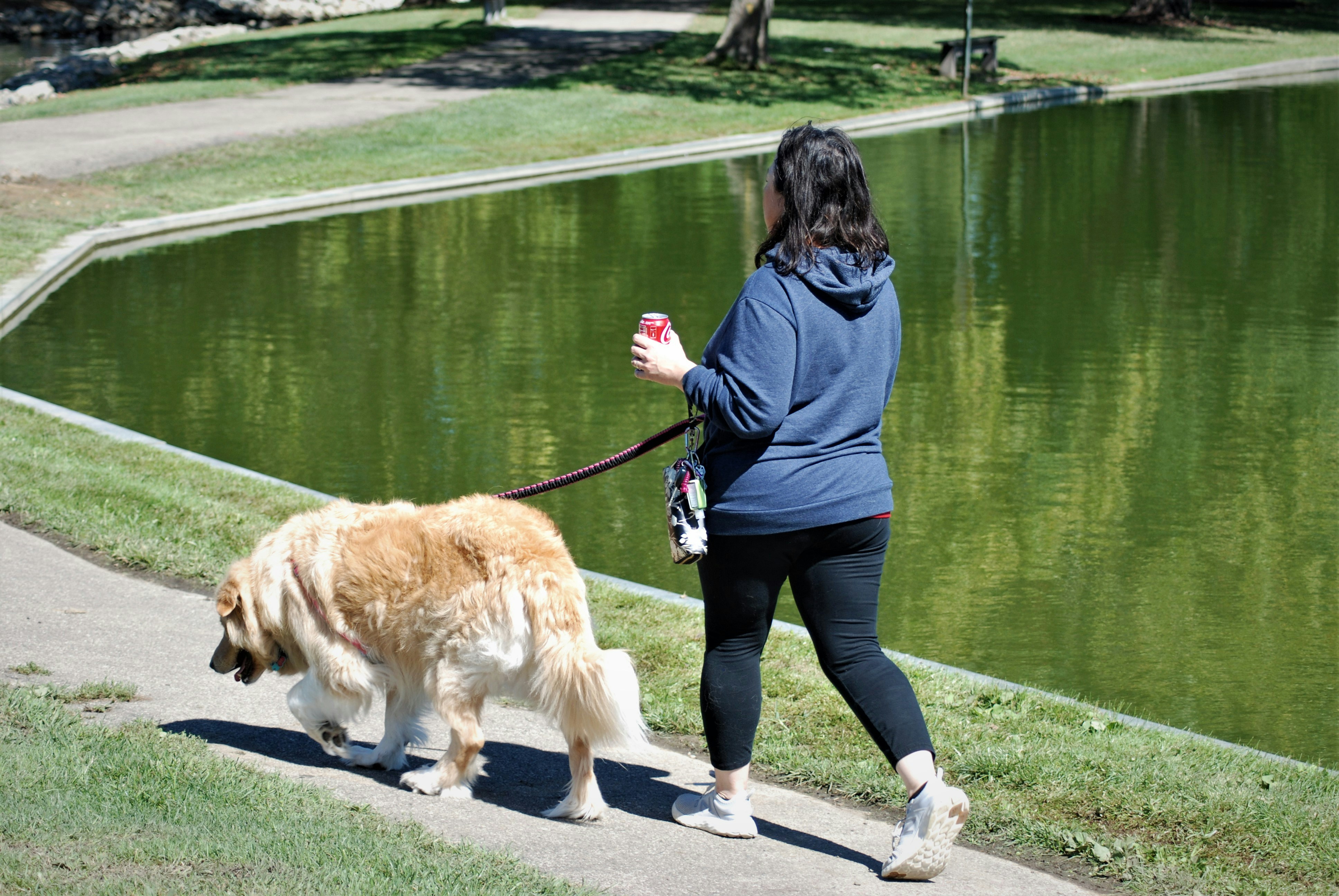 Nice day to walk the human at the lake!