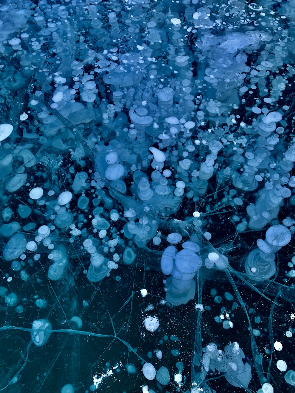 a bunch of bubbles floating on top of a body of water