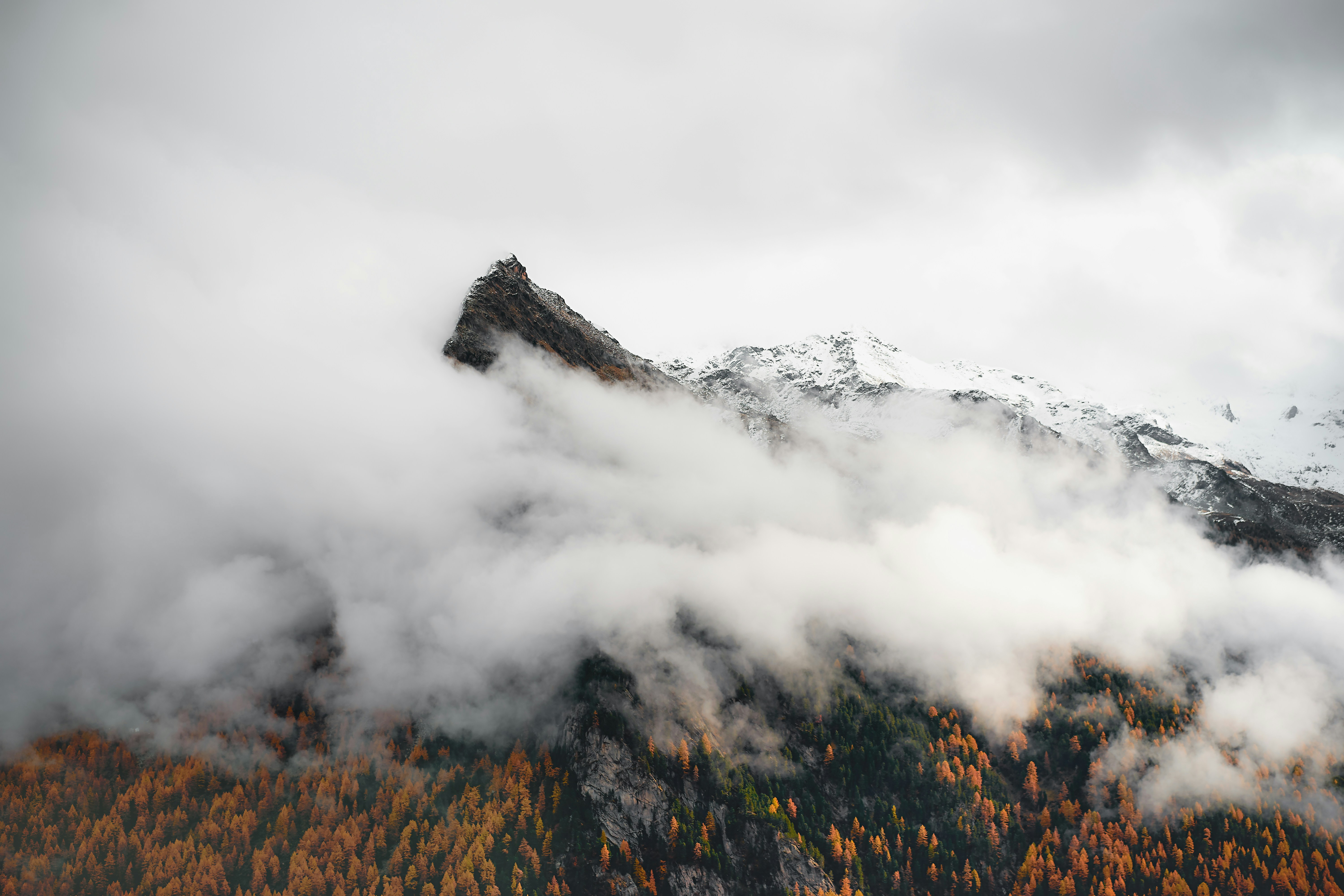 a mountain covered in clouds and trees