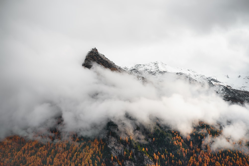 a mountain covered in clouds and trees