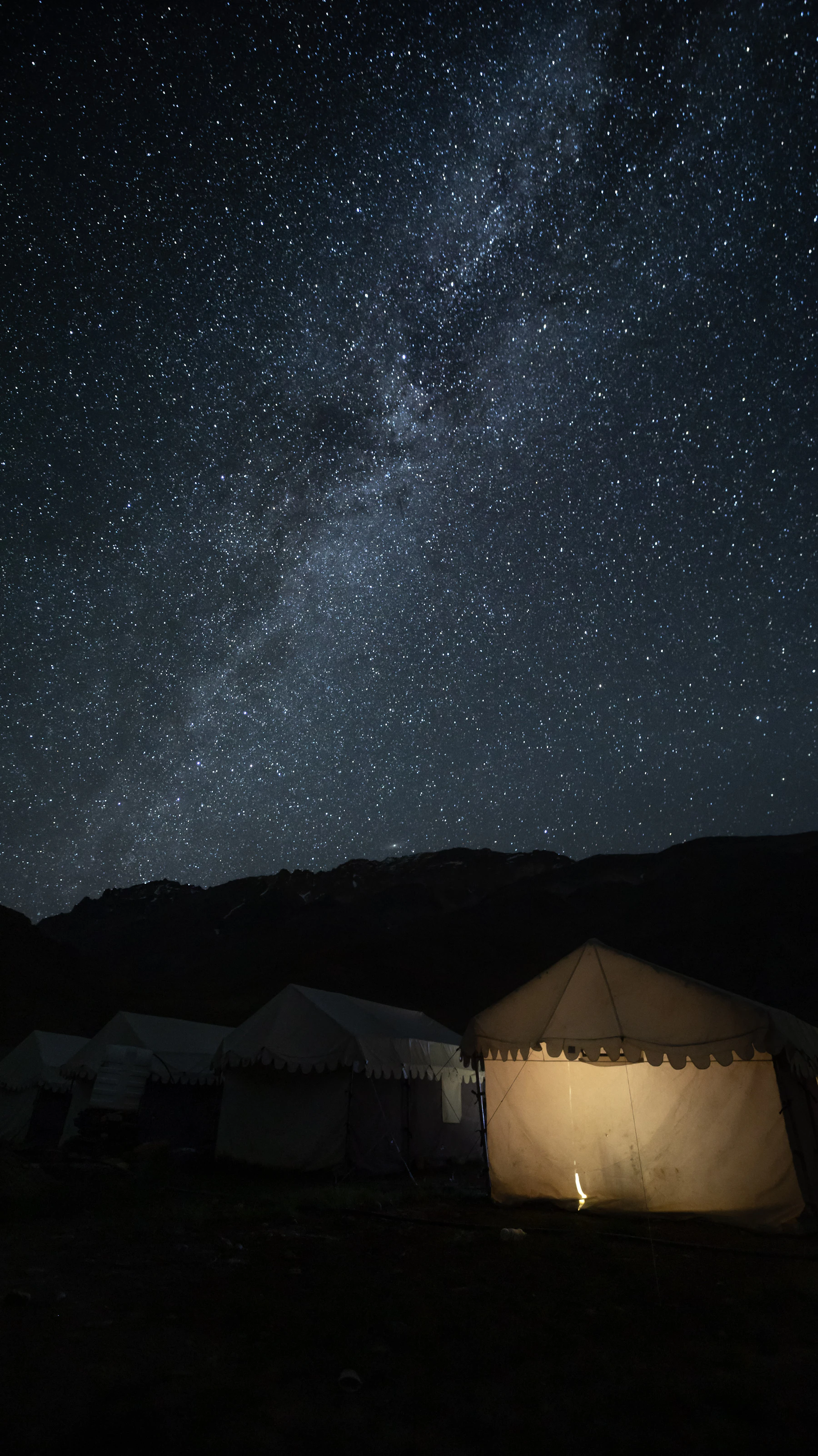 Starry Himalayan night