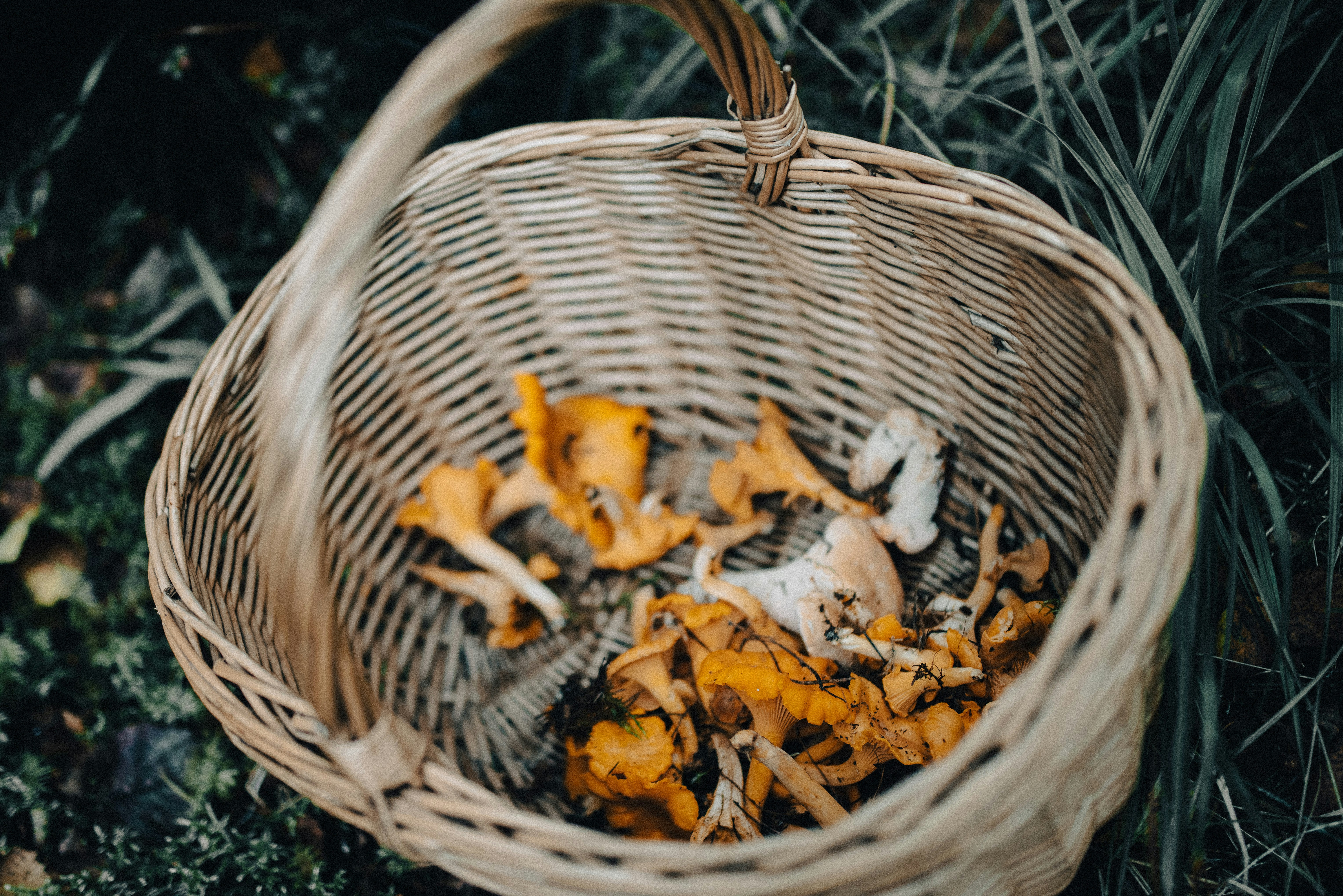 Photo by seitamaaphotography