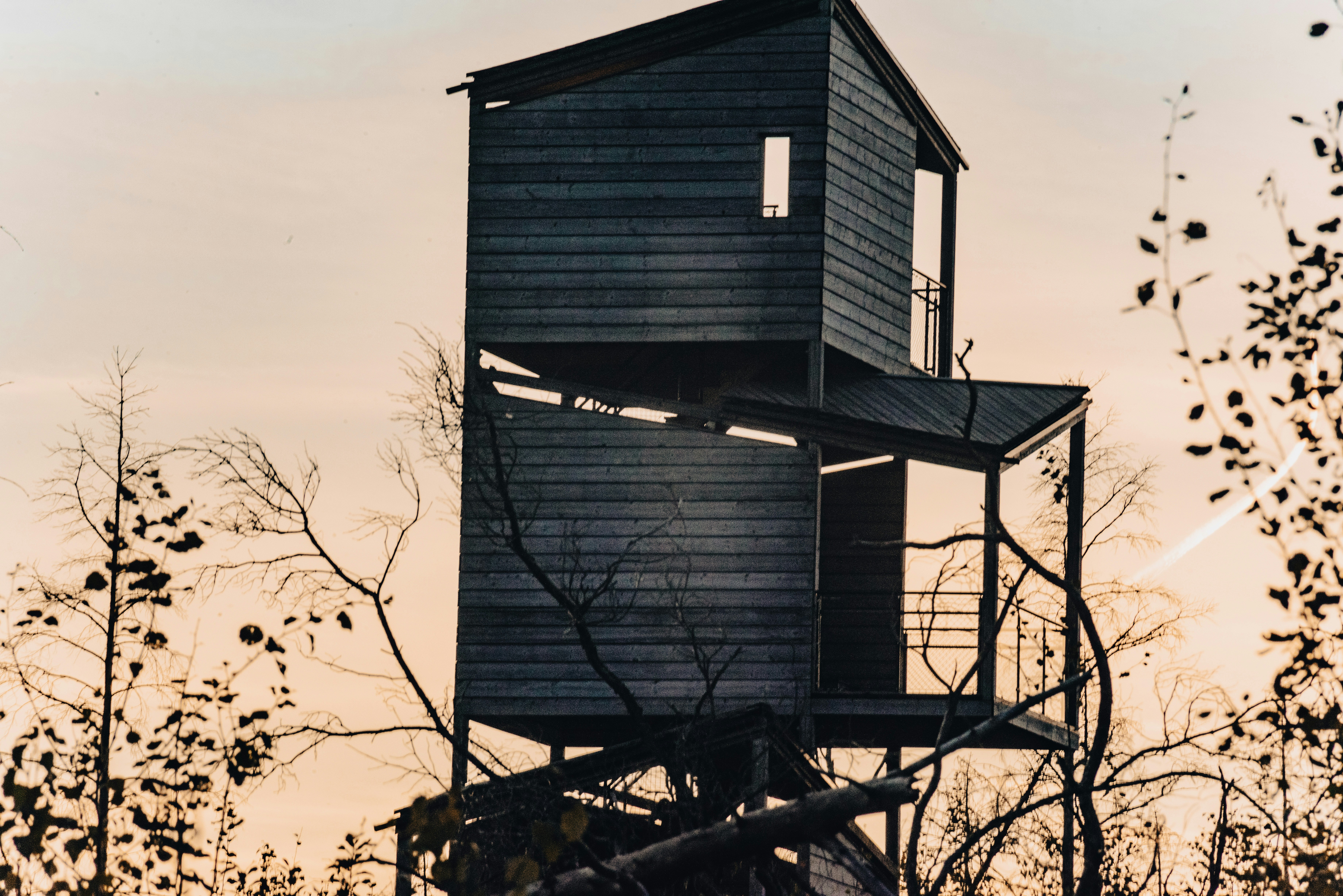 Photo by seitamaaphotography