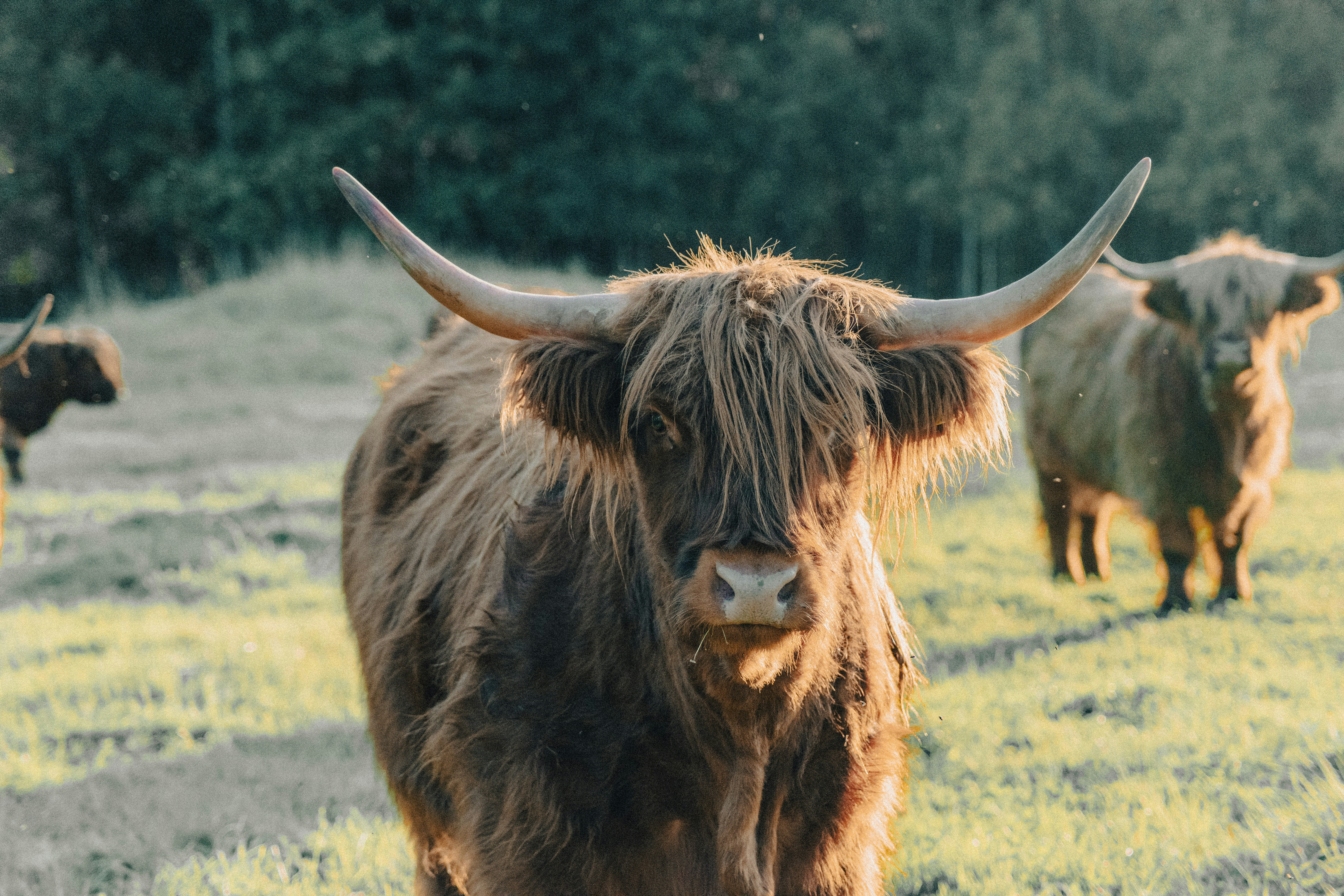 Photo by seitamaaphotography