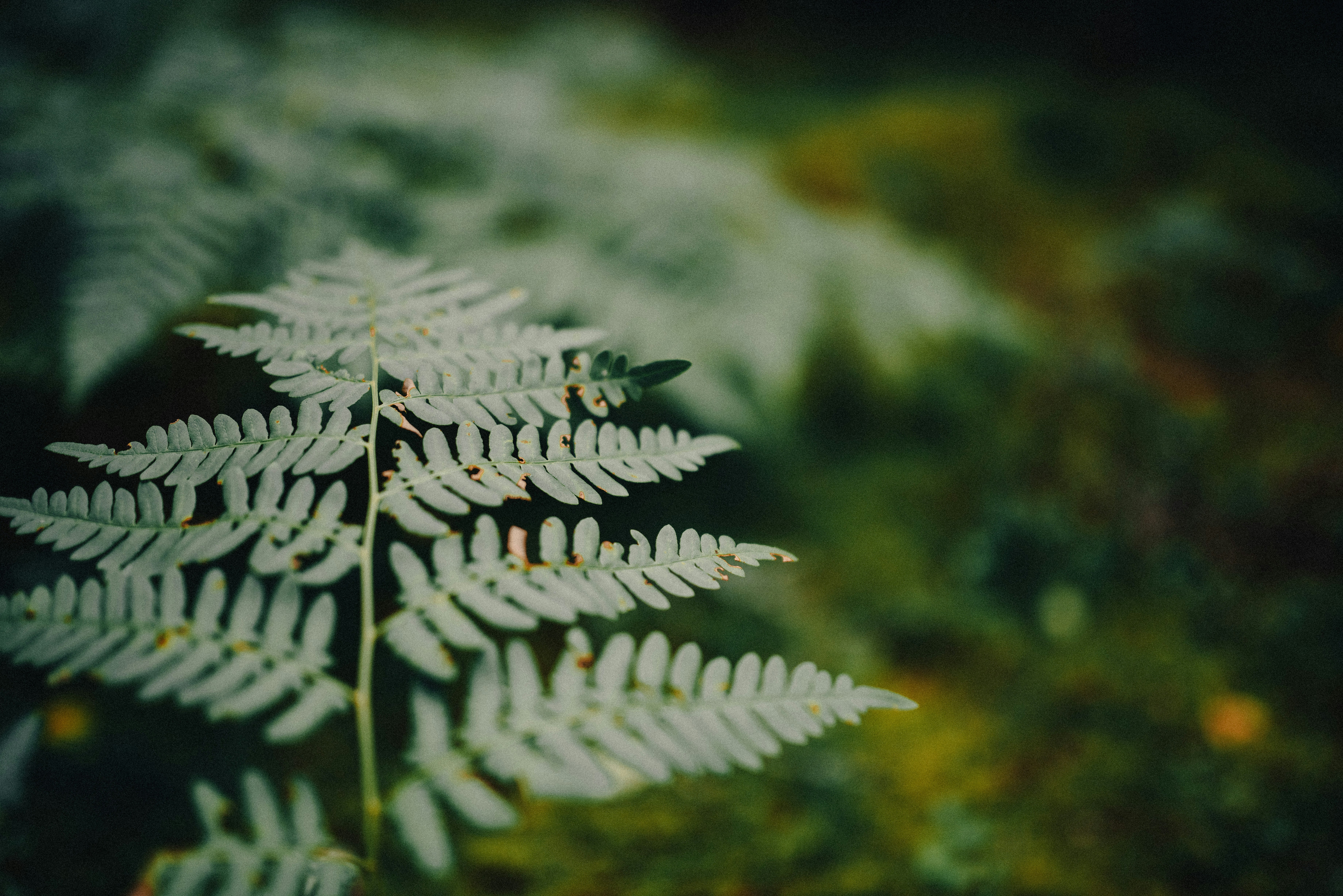 Photo by seitamaaphotography