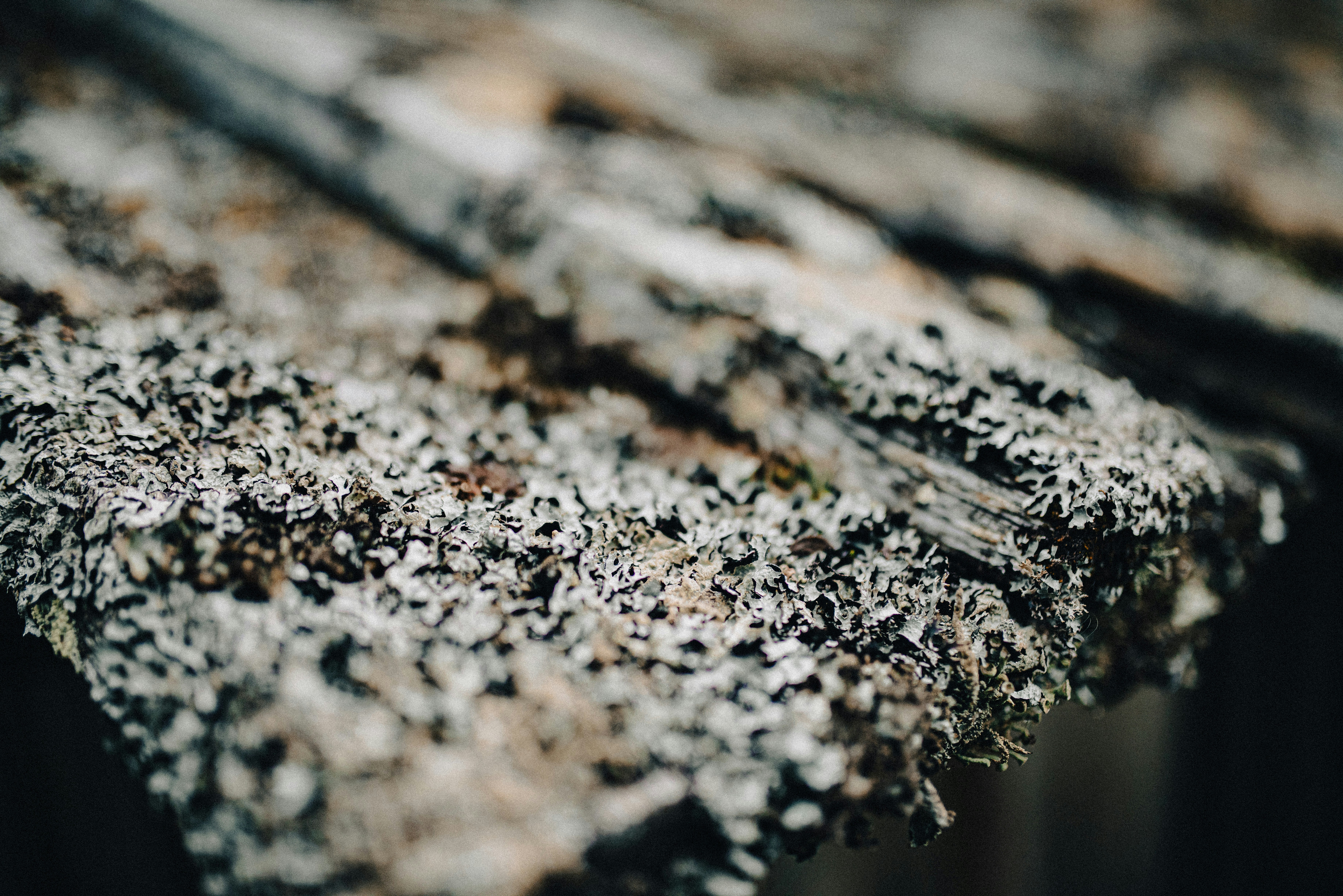 Photo by seitamaaphotography