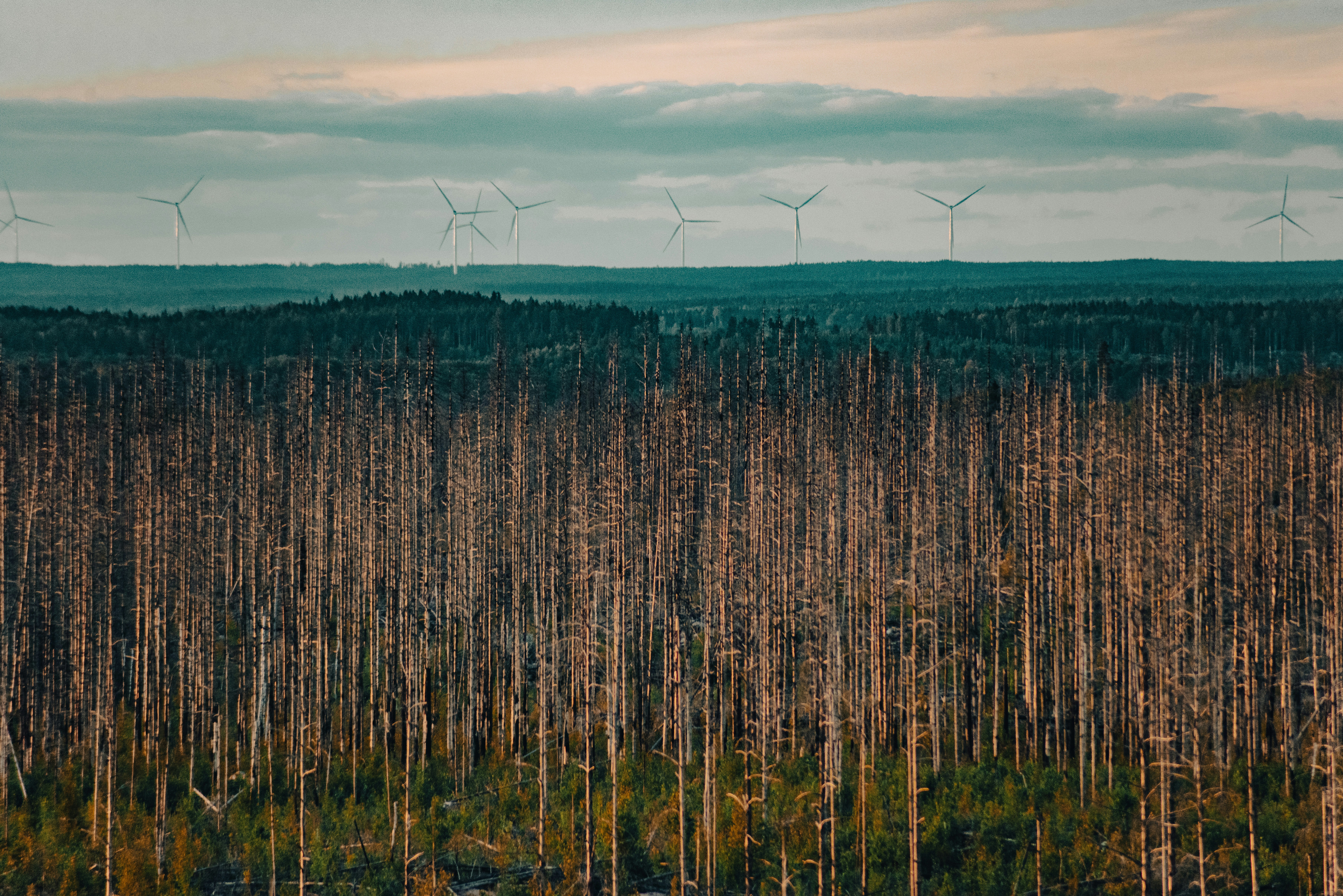 Global Climate Report Highlights Urgent Need for Action Amid Accelerating Impacts