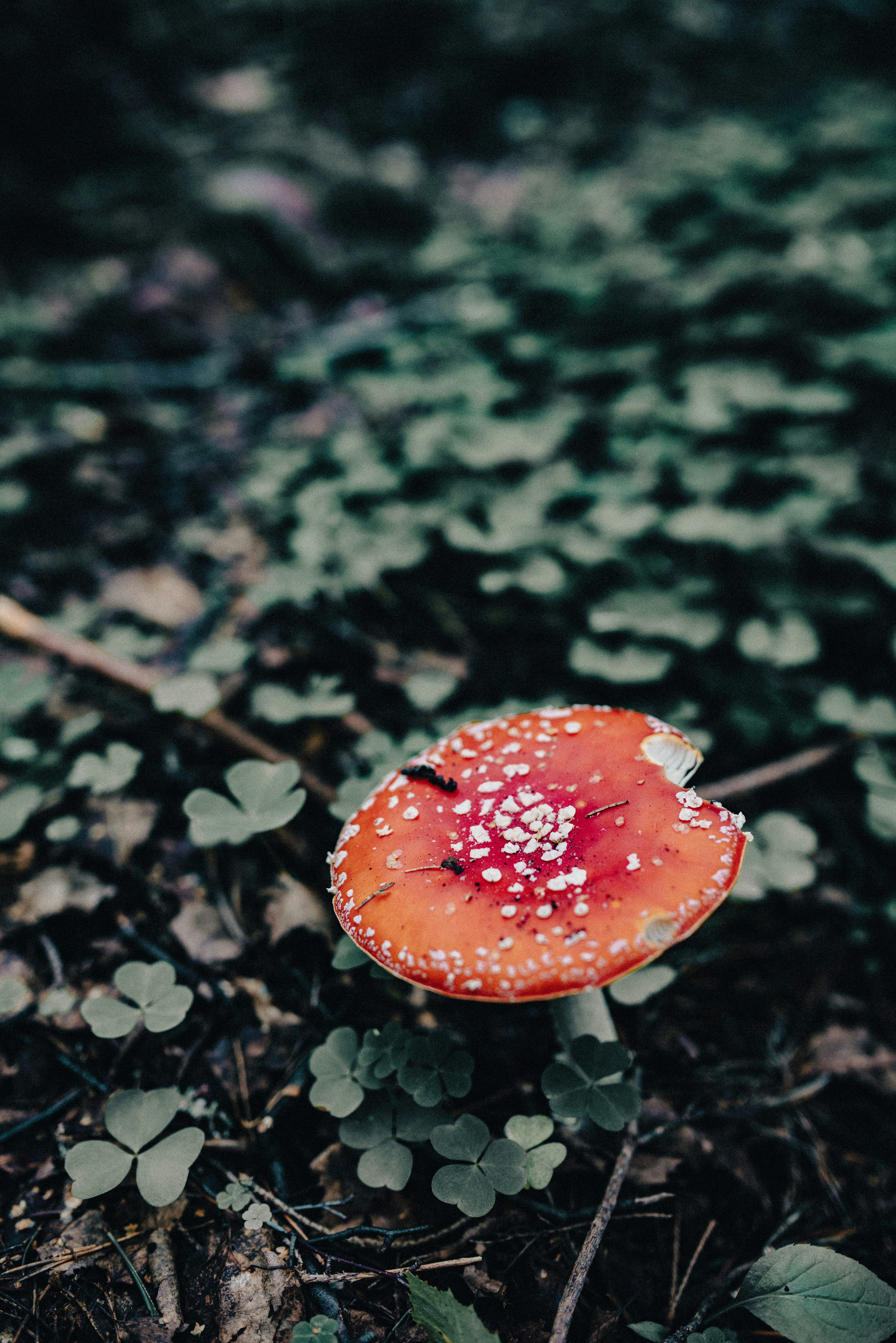 Photo by seitamaaphotography