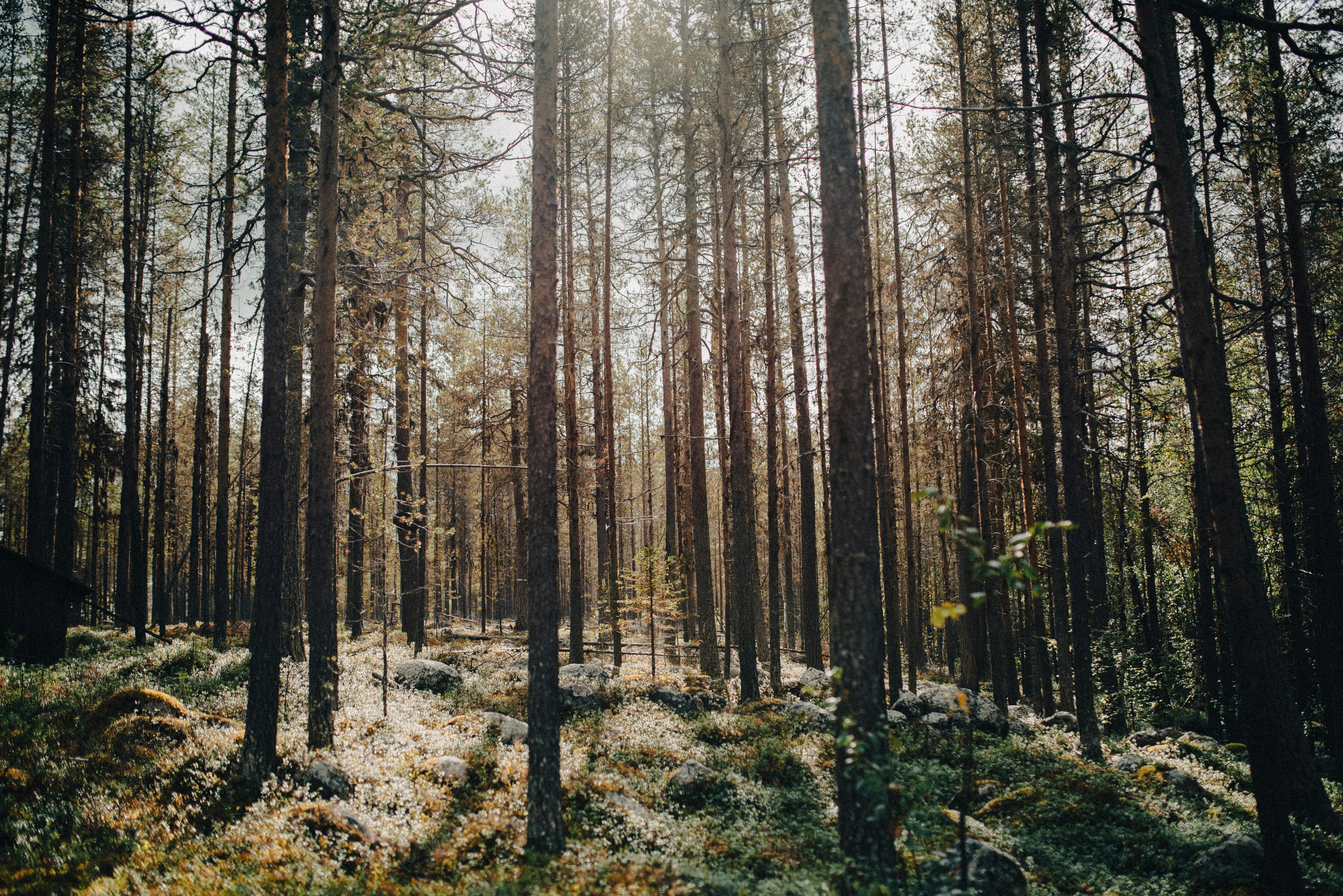 Photo by seitamaaphotography