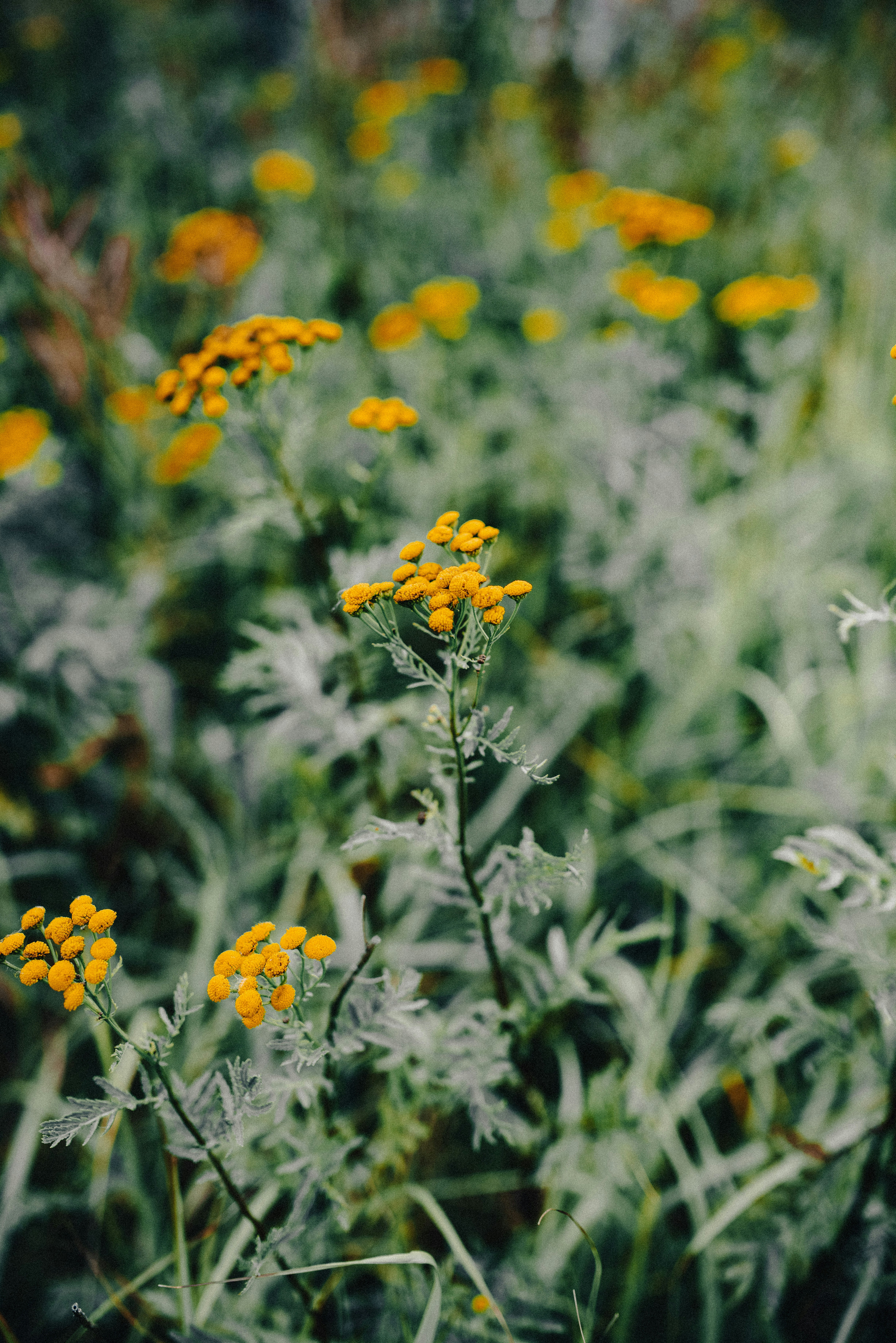 Photo by seitamaaphotography