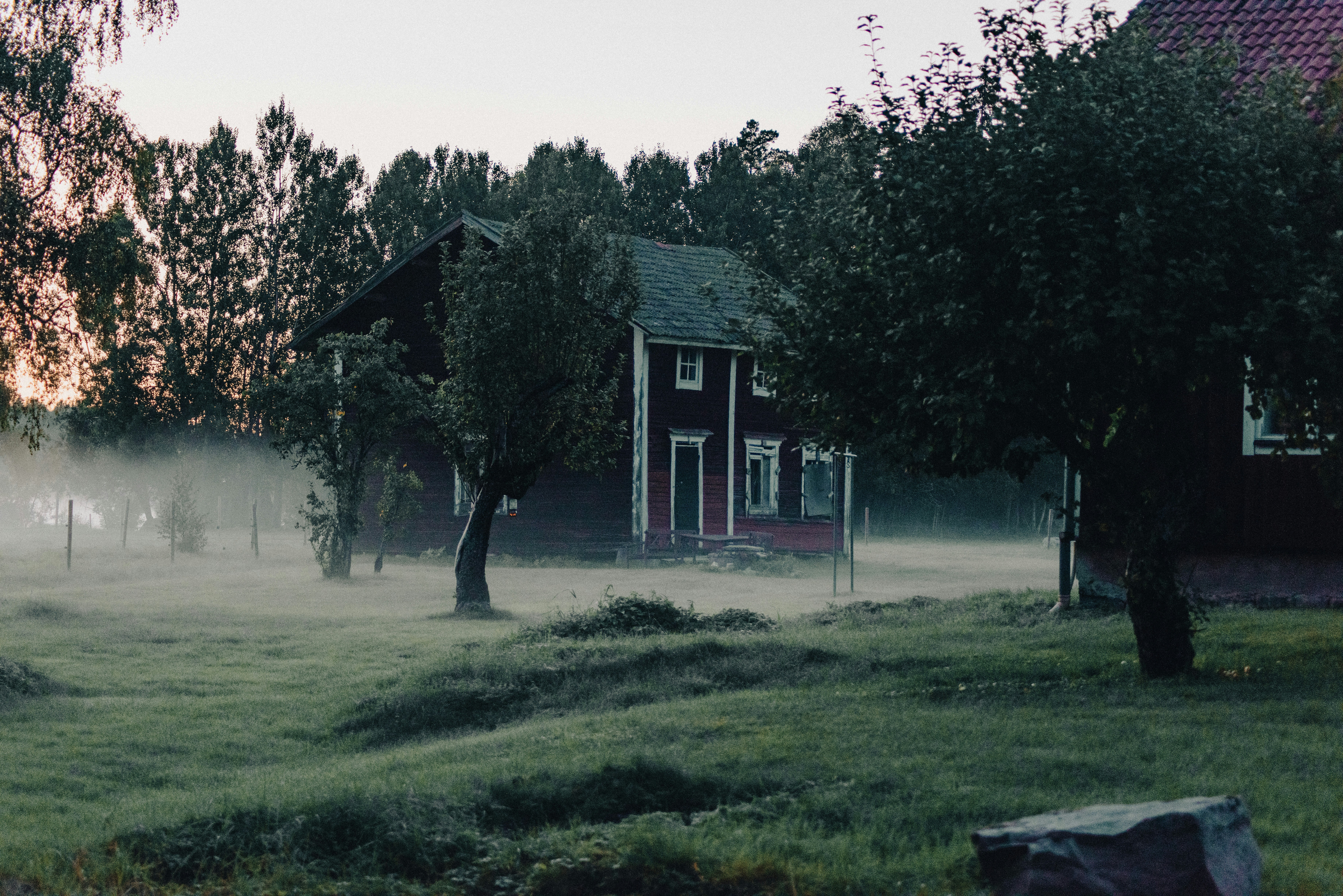Photo by seitamaaphotography