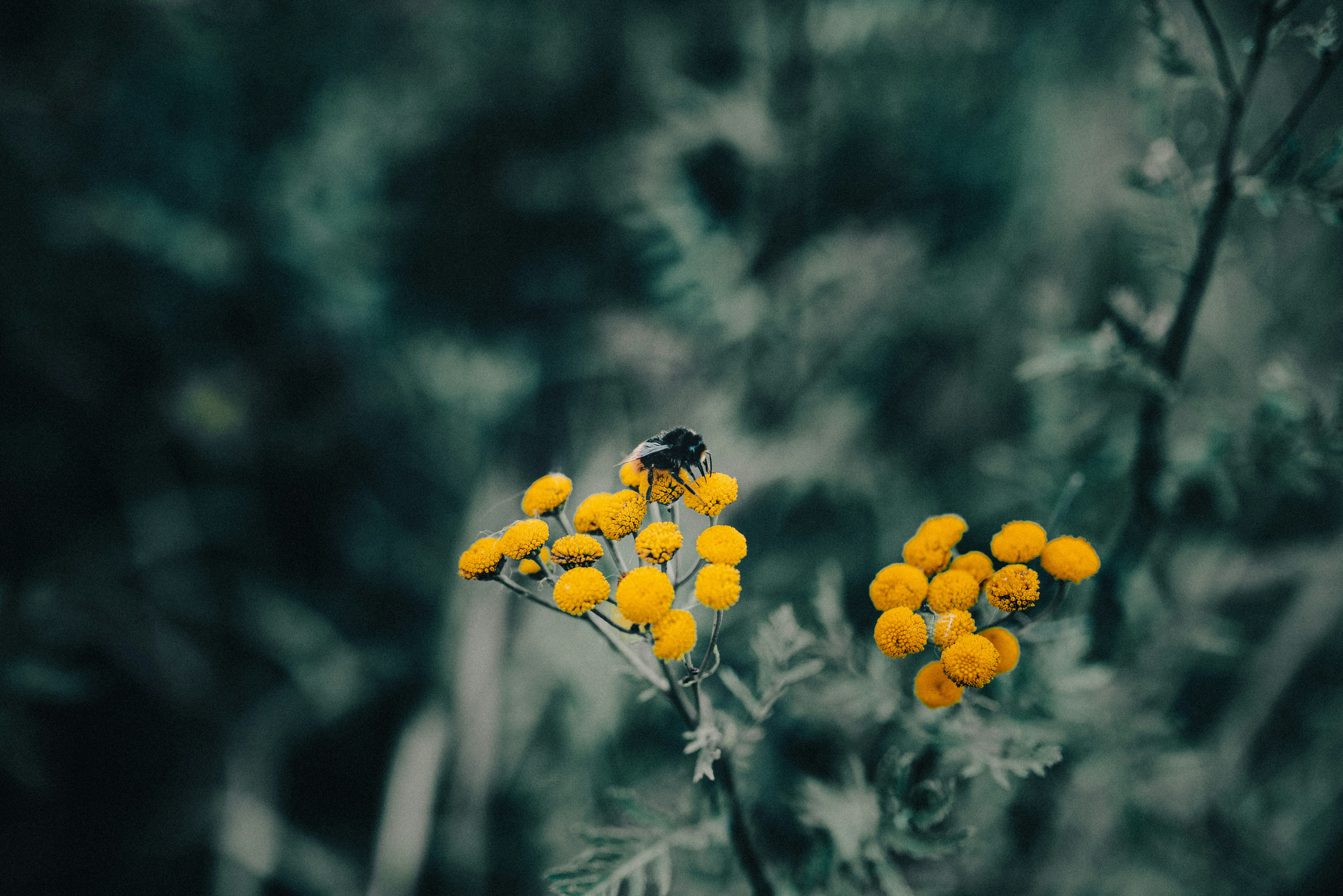 Photo by seitamaaphotography