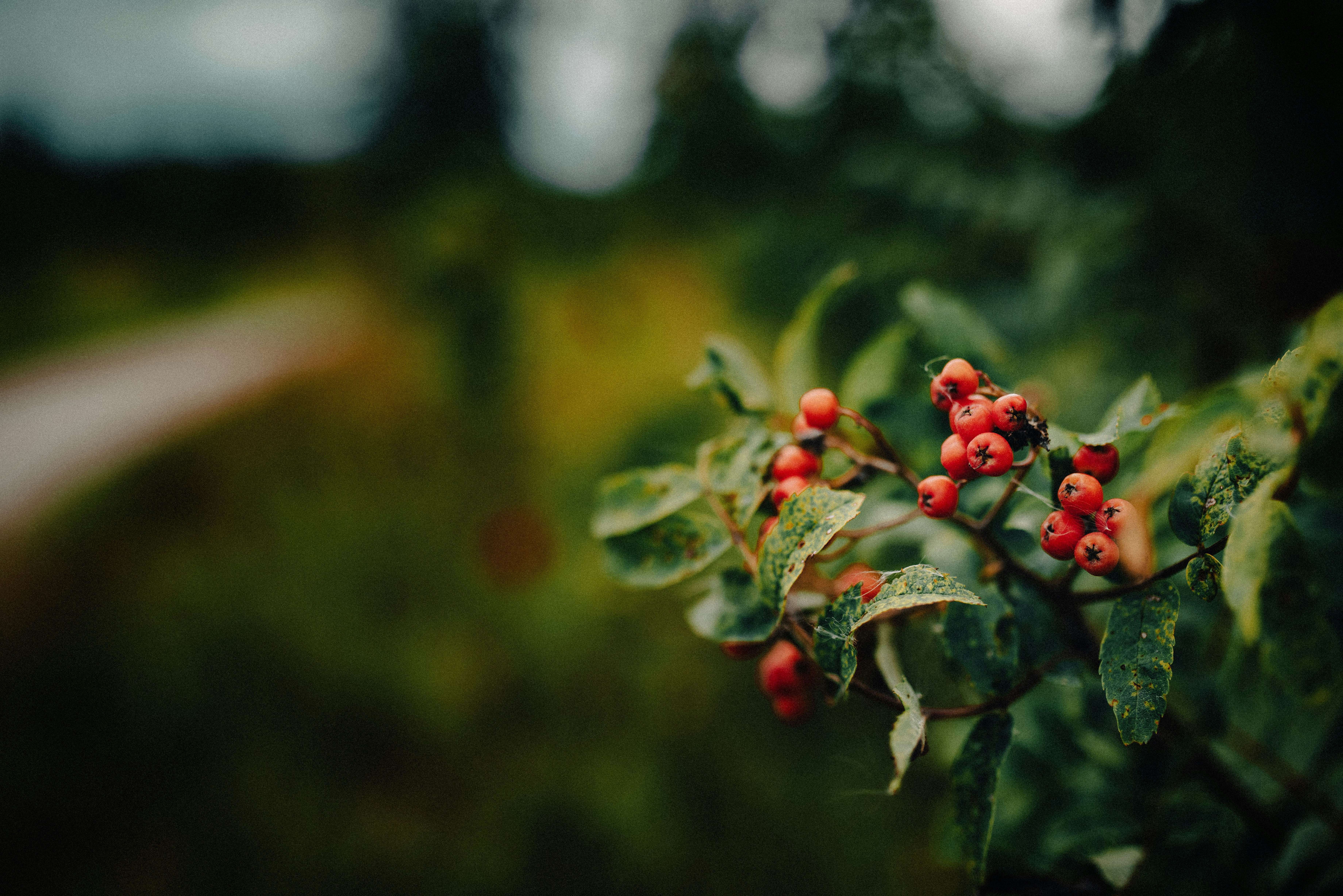 Photo by seitamaaphotography