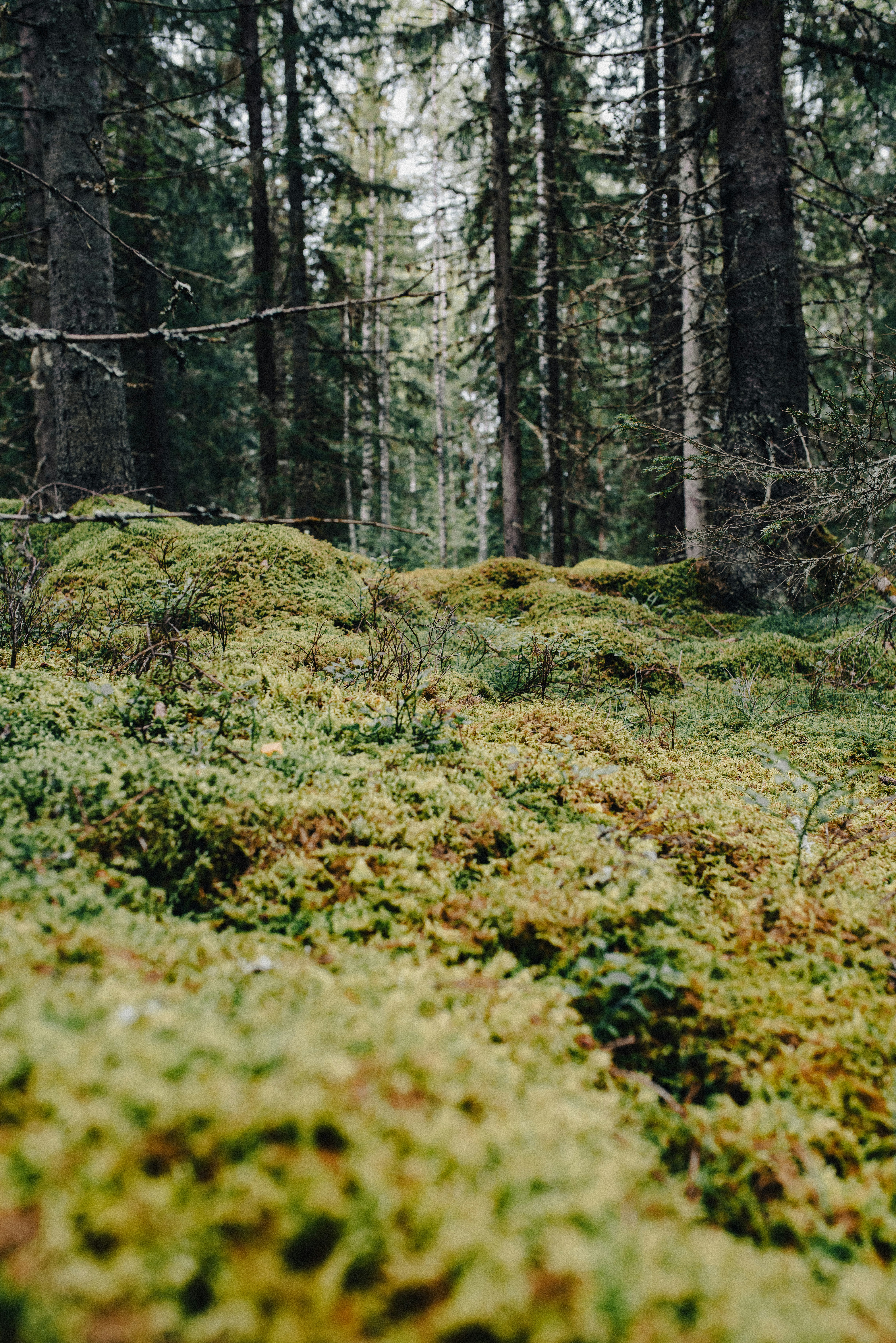 Photo by seitamaaphotography