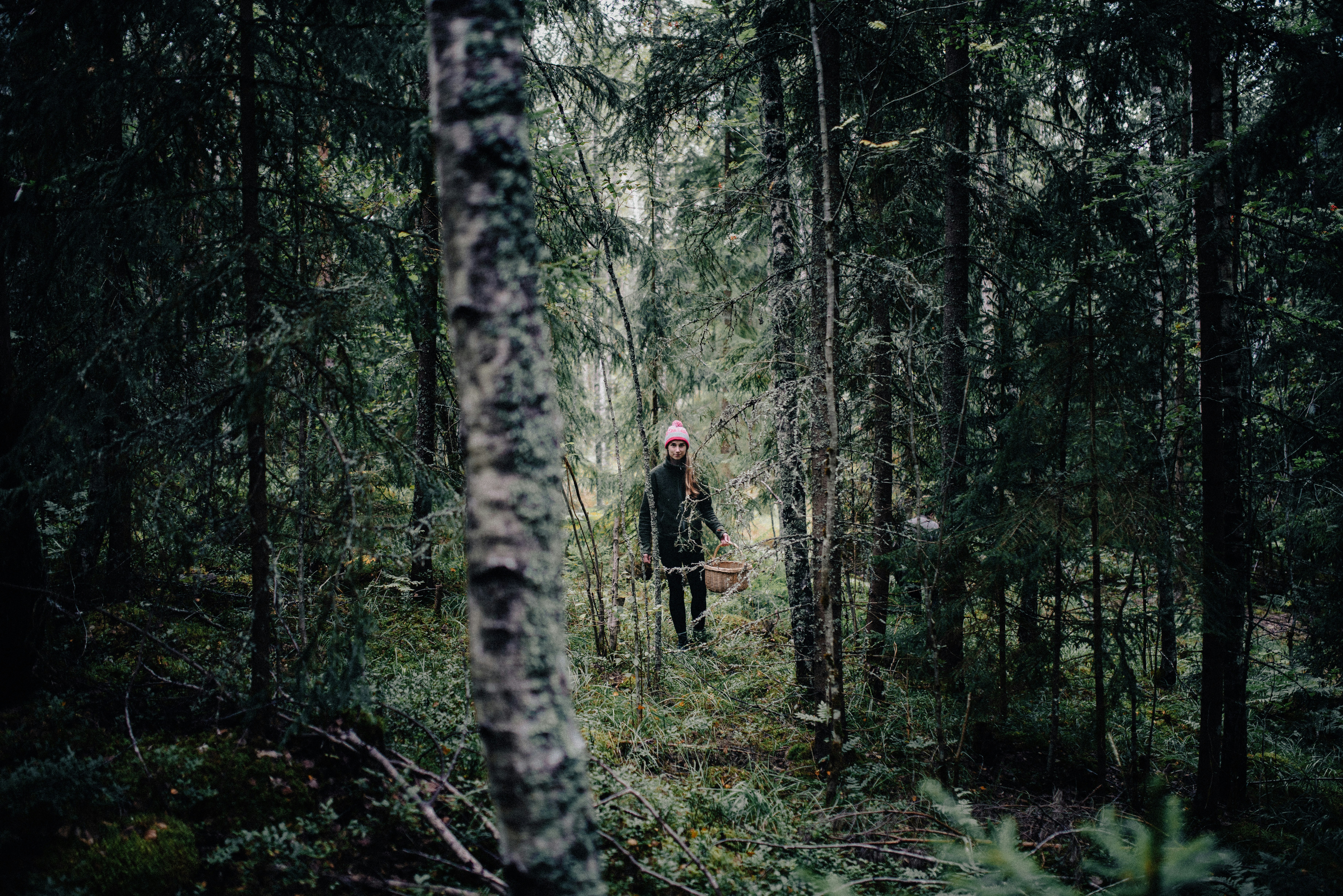 Photo by seitamaaphotography