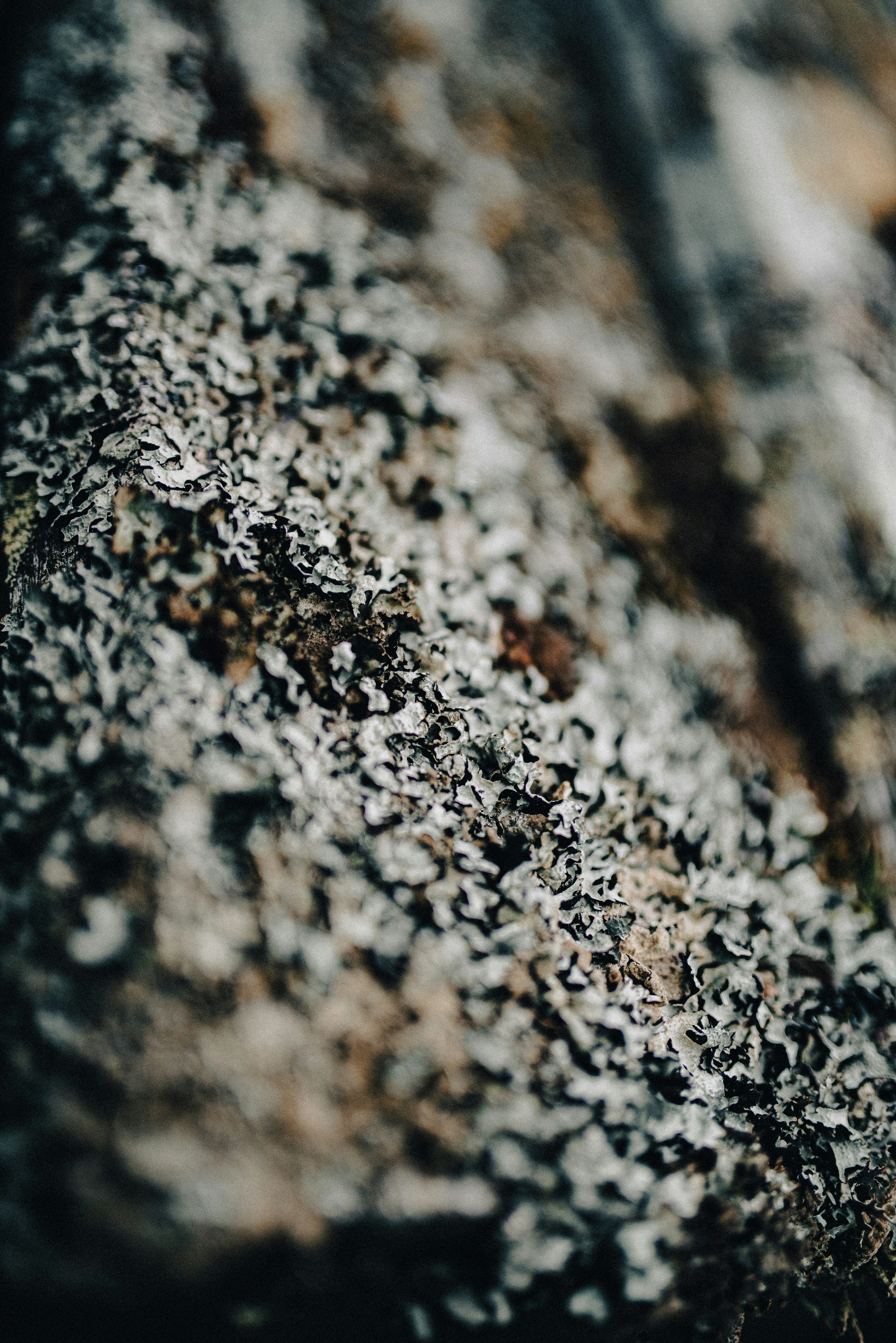 Photo by seitamaaphotography