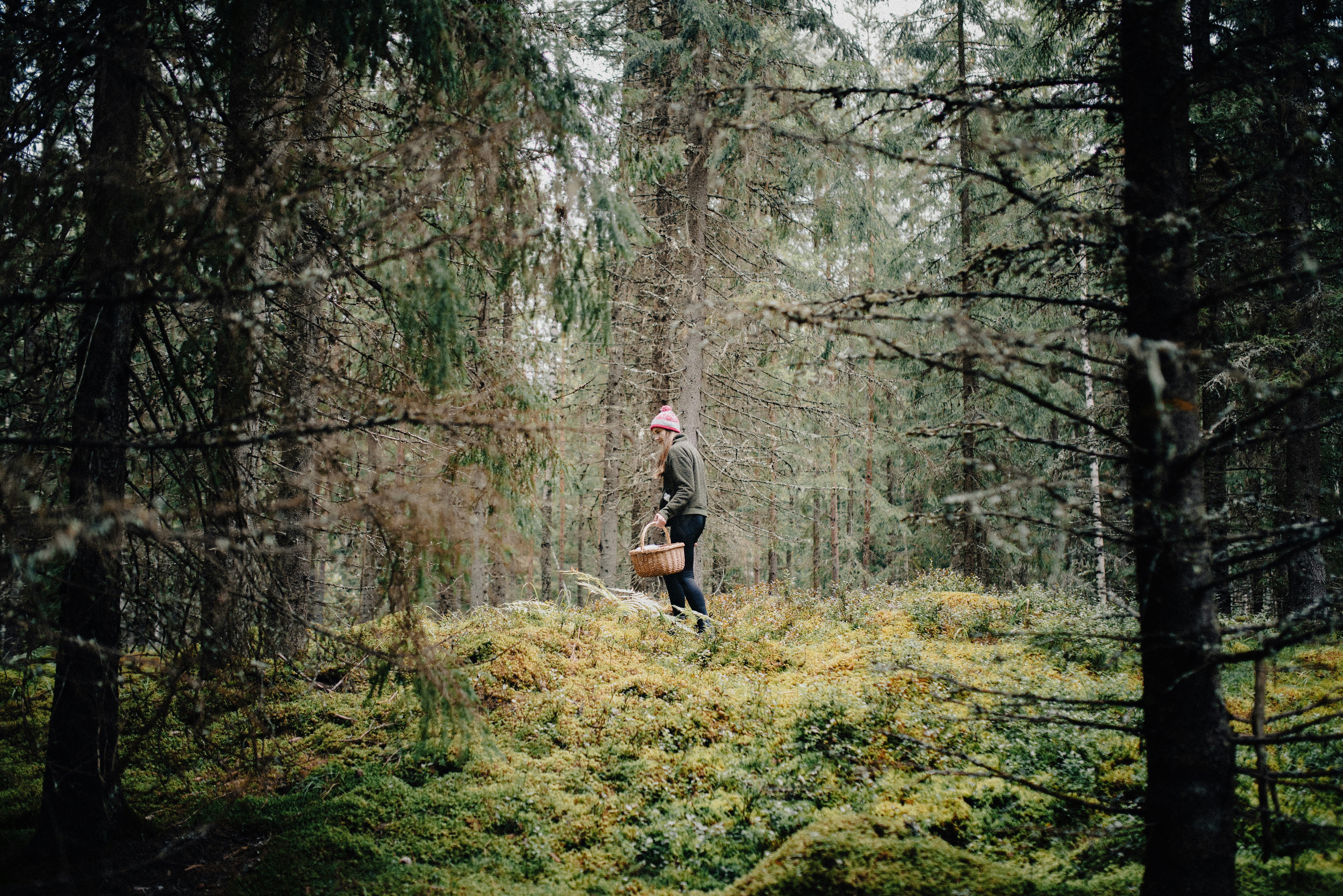 Photo by seitamaaphotography