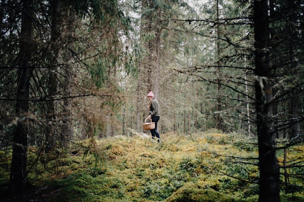 a man walking through a forest carrying a basket