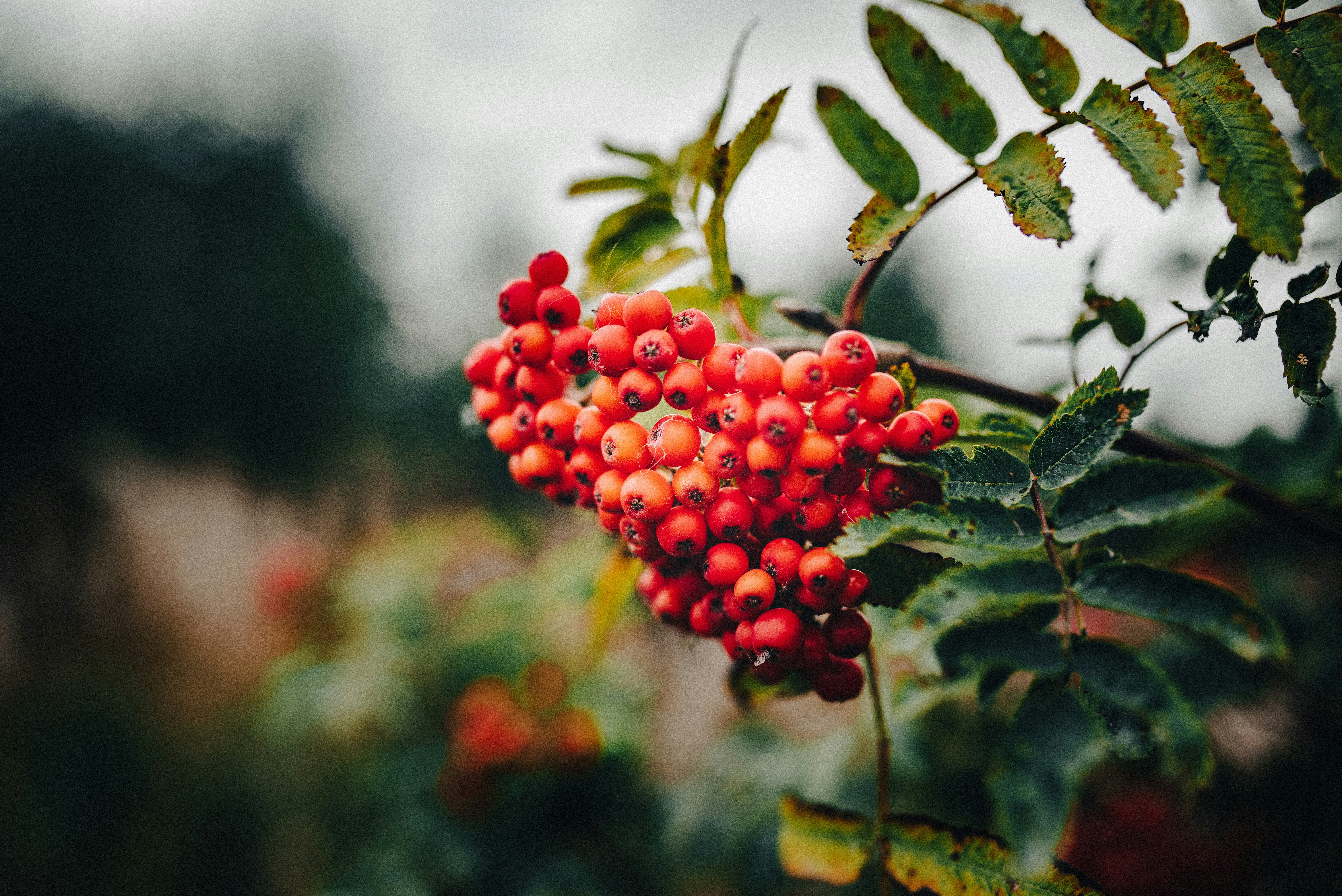 Photo by seitamaaphotography