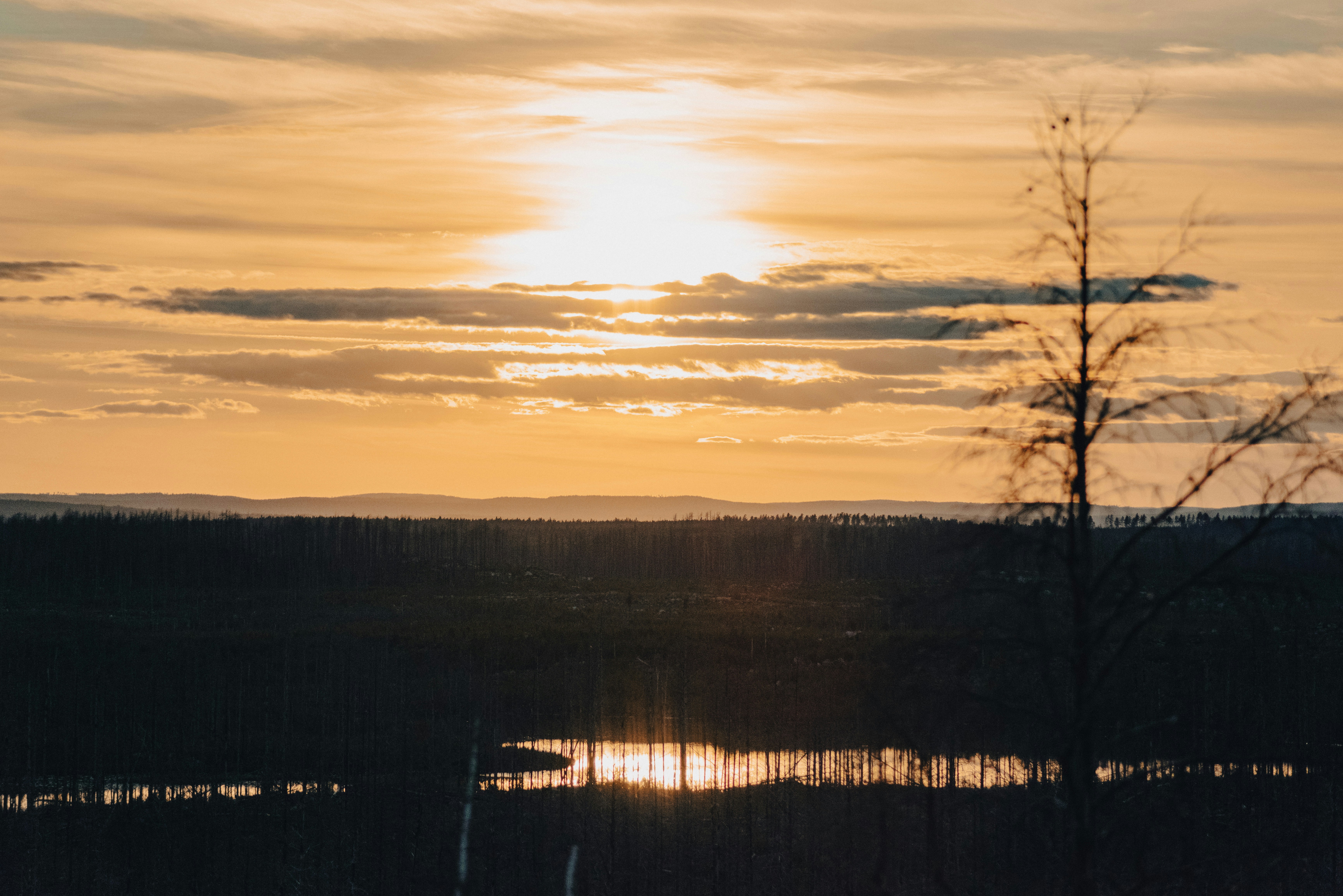 Photo by seitamaaphotography