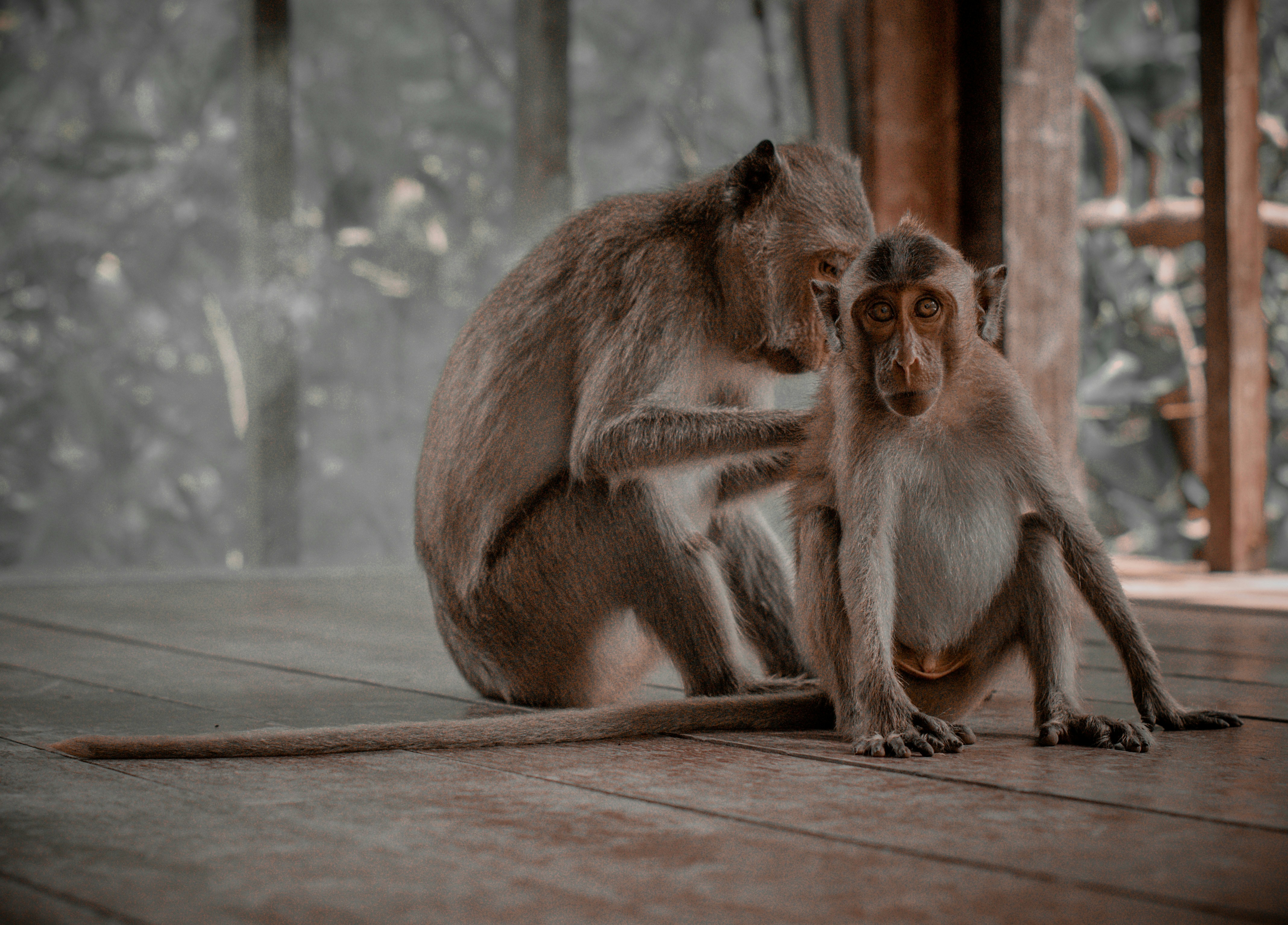 Photo by flashback_travel_guide