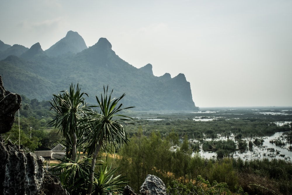 a view of a mountain range with a body of water in the foreground