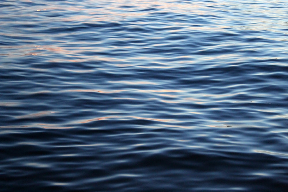 a boat floating on top of a body of water