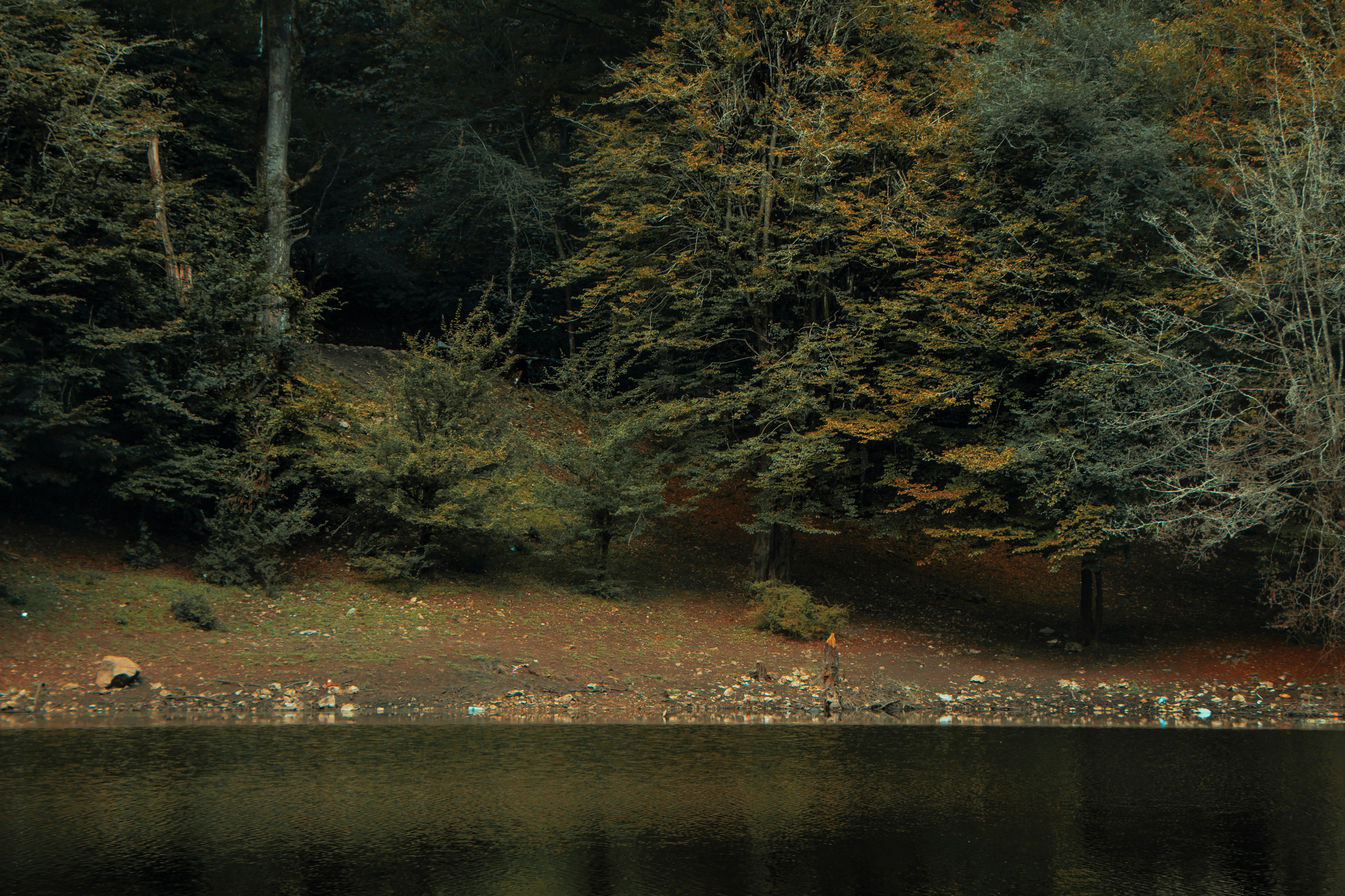 Photo by mahdibafande