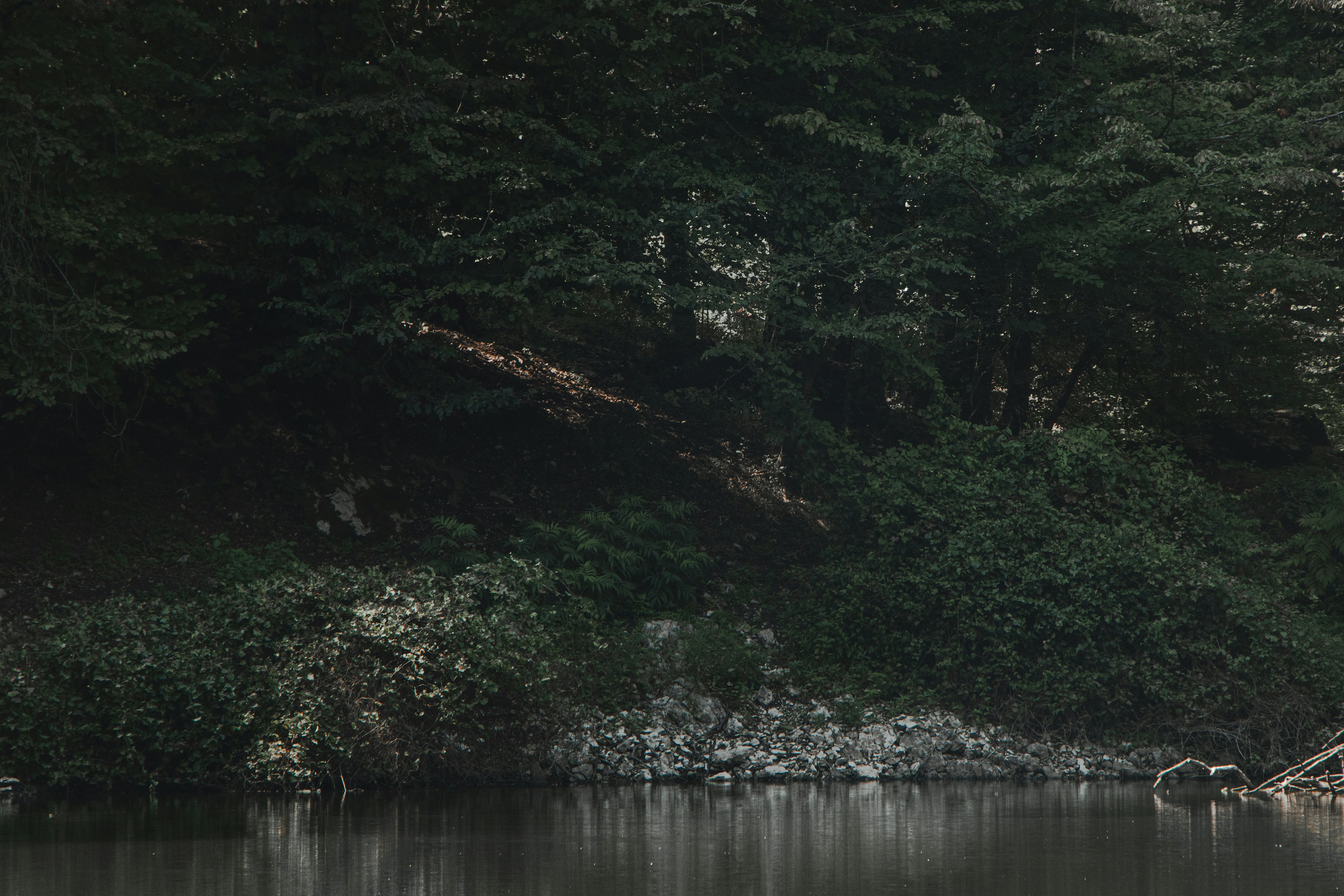 Photo by mahdibafande