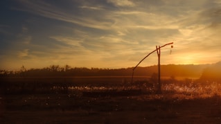 a street light in a field with the sun setting in the background