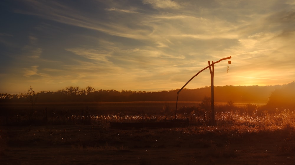 un lampadaire dans un champ avec le coucher du soleil en arrière-plan