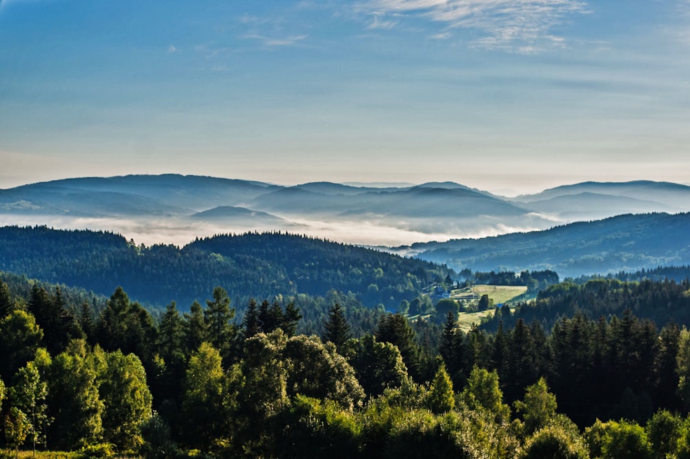 a view of a valley with trees and mountains in the background