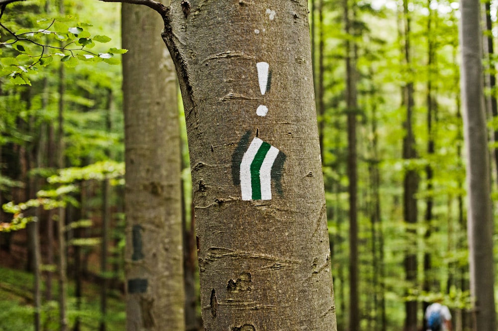 a man walking through a forest next to a tall tree