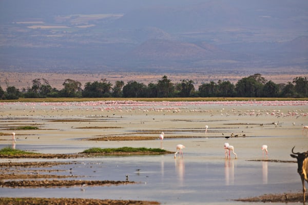 Reizen zuid afrika en namibië