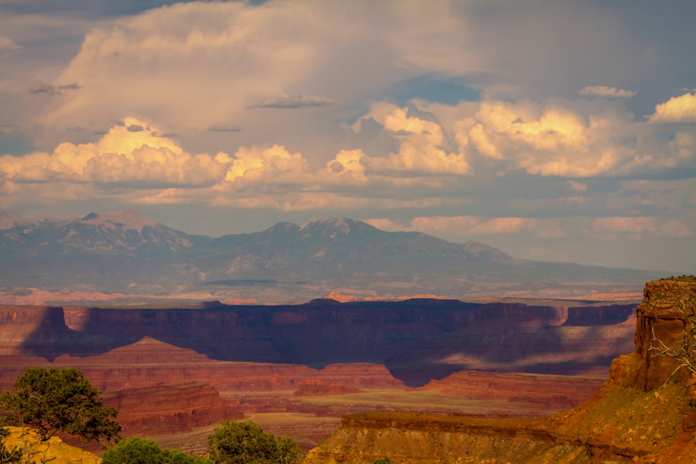 a scenic view of the grand canyon with mountains in the background