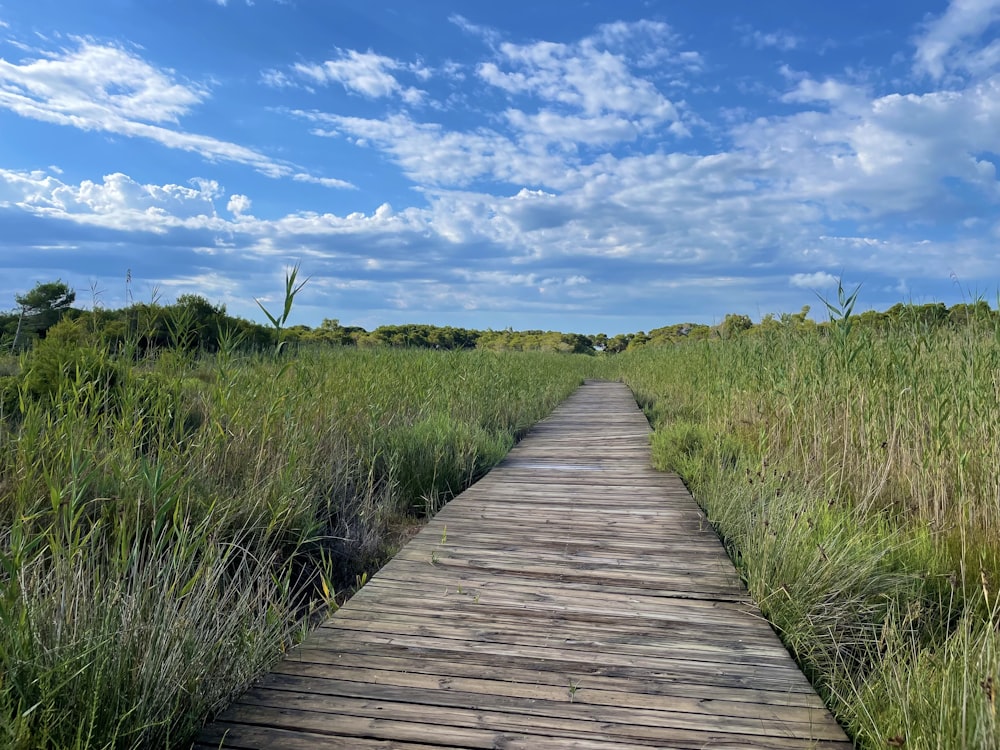 a wooden walkway through a grassy field under a blue sky