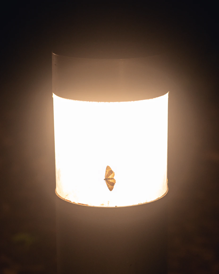 Solar LED Lantern