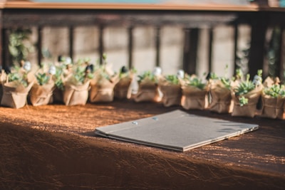a table topped with lots of bags filled with plants
