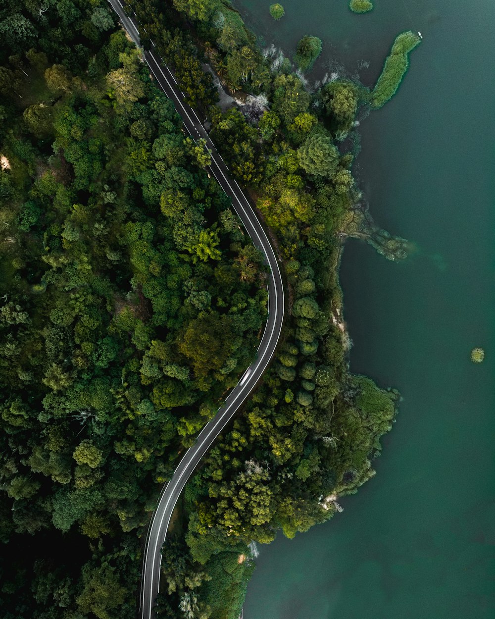 a winding road in the middle of a forest