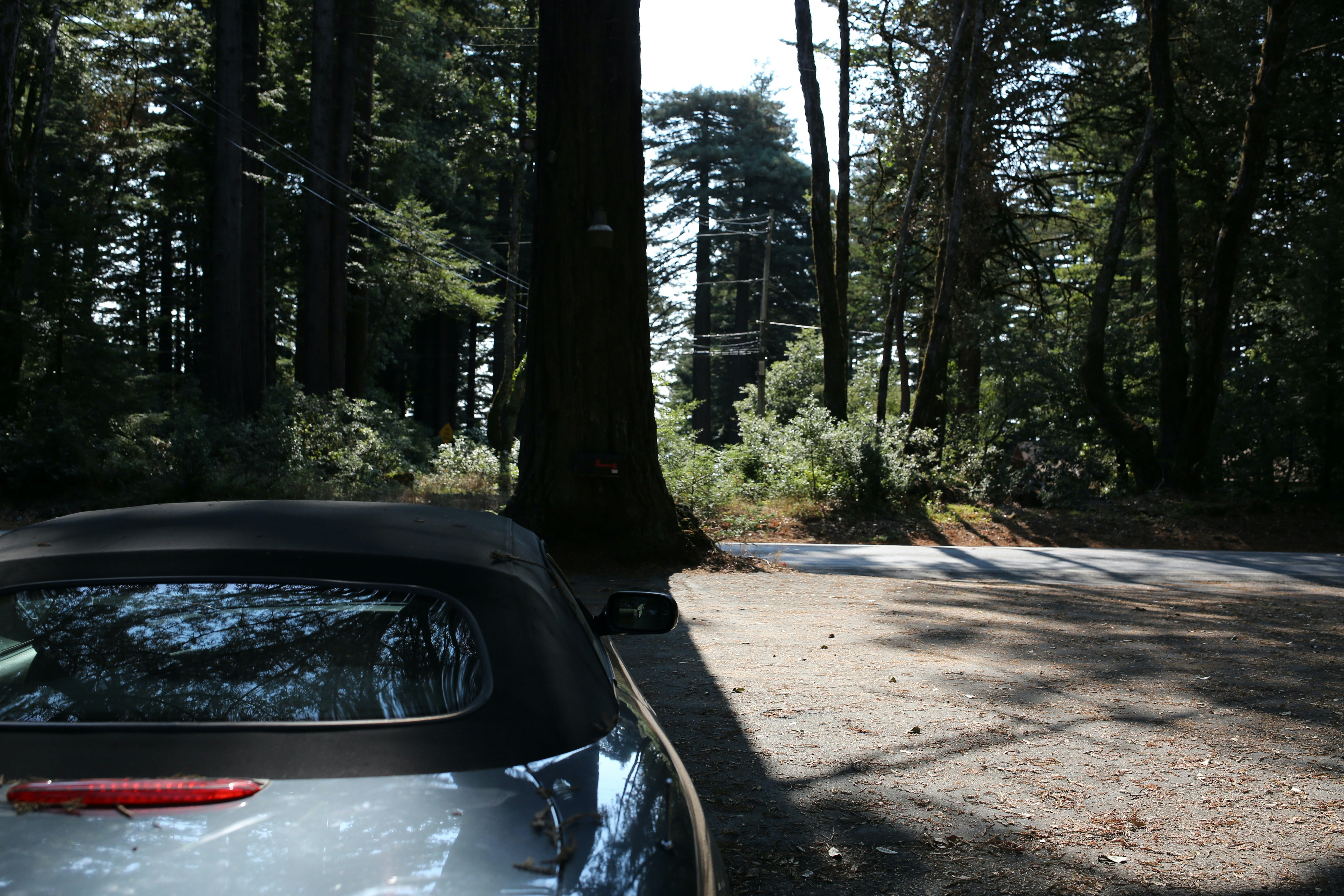 A car parked in the middle of a forest photo – Free Skyline blvd Image ...
