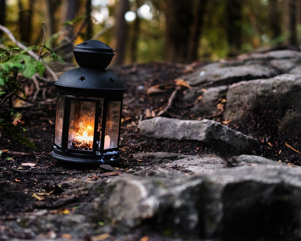 a lantern is sitting on the ground in the woods